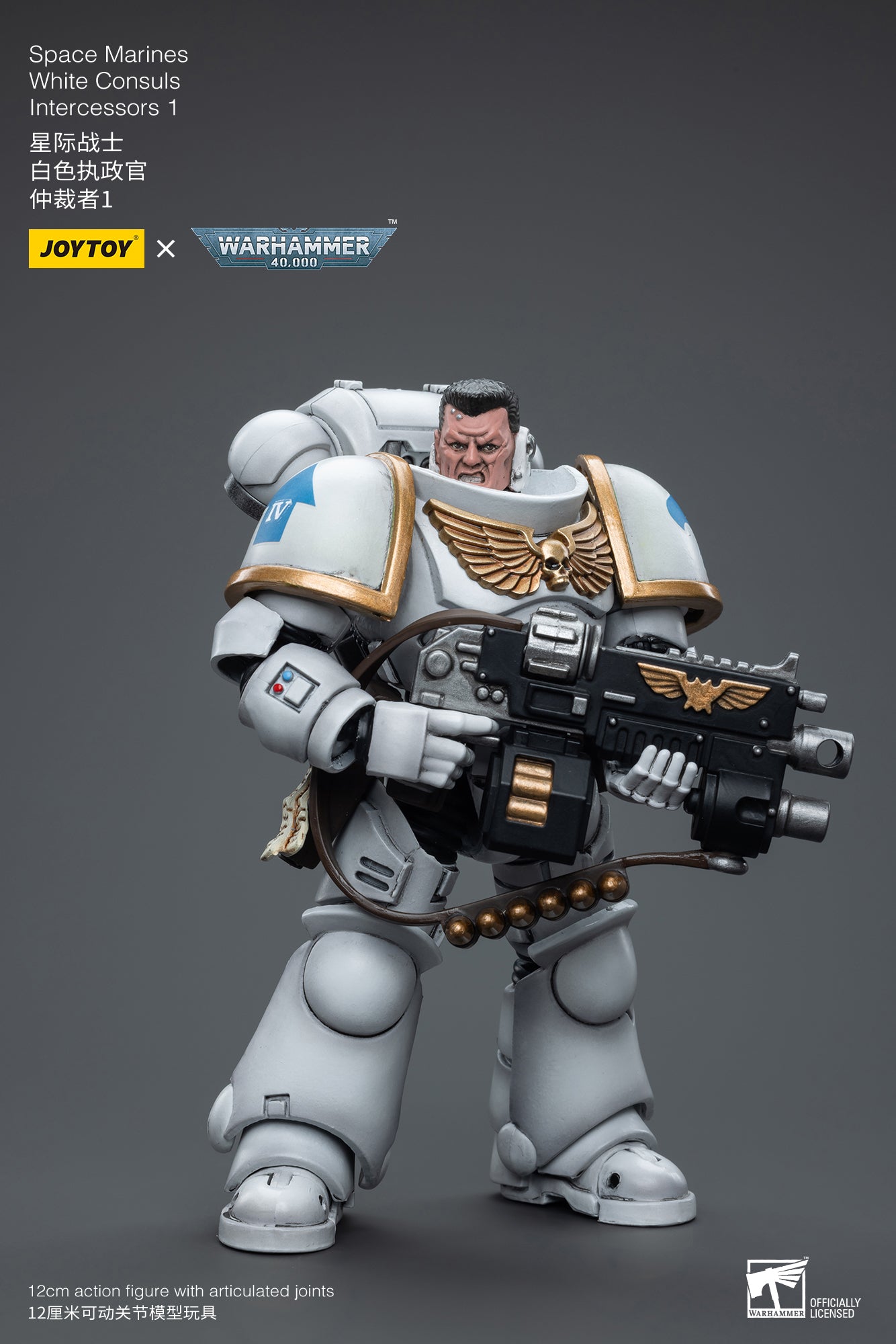 1/18 JOYTOY Warhammer 40K Space Marines White Consuls Intercessors Action Figure - Collectible Miniature for Tabletop Gaming & Display