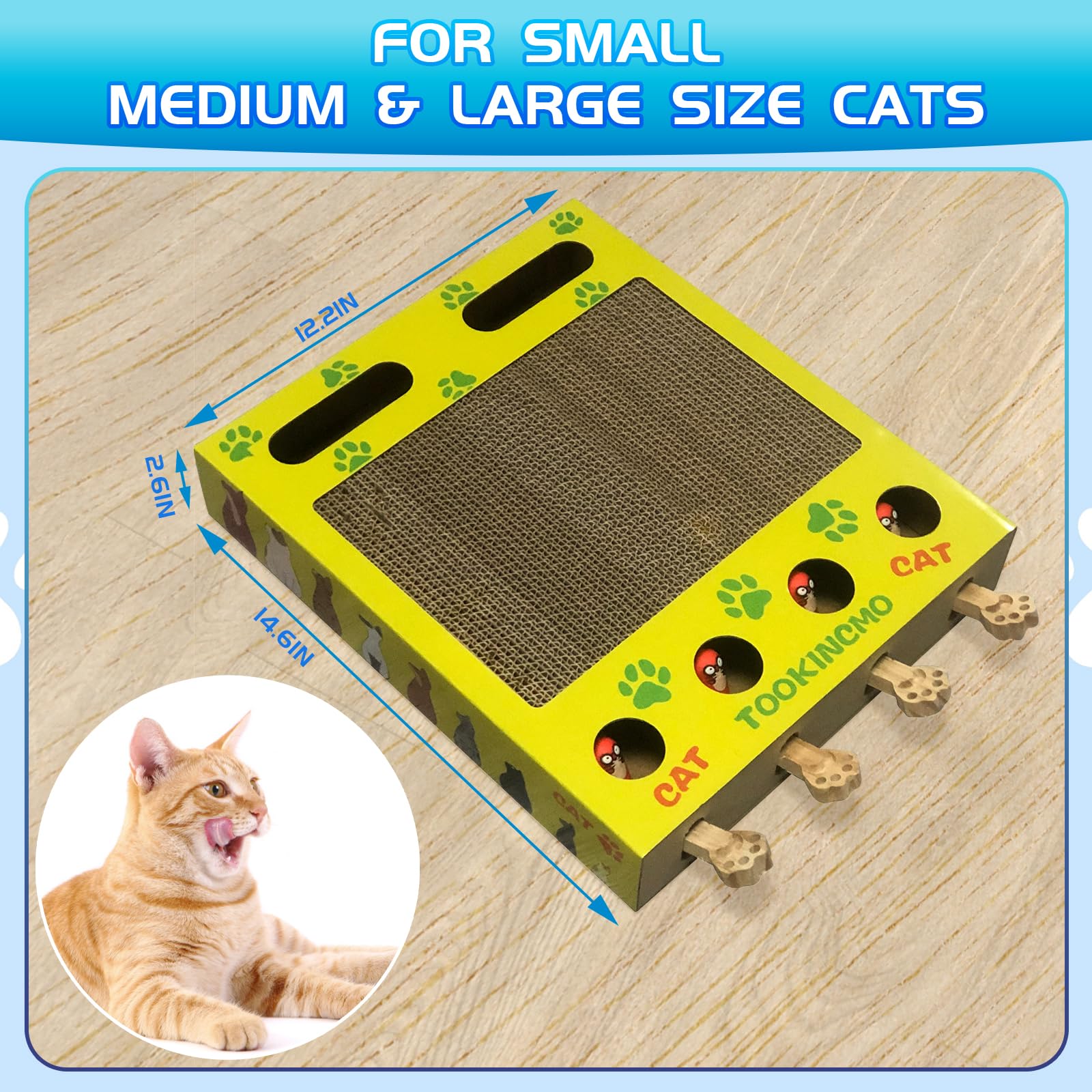 4-in-1 Cat Toy Box with Interactive Games - for Indoor Cats Play & Exercise