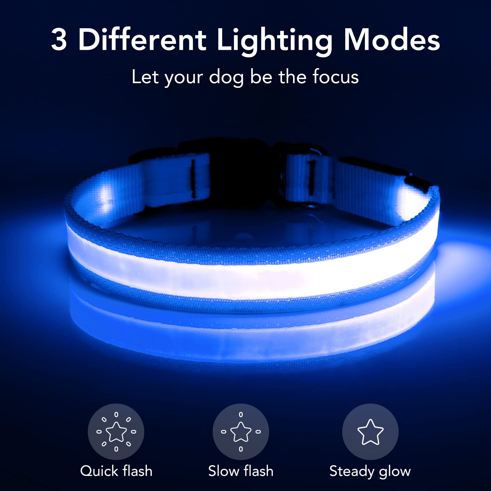 Vizpet LED Dog Collar - USB Rechargeable Adjustable Glowing Collar with Super Bright Safety Light for Small Dogs (Blue) - Perfect for Night Walks, Jogging & Outdoor Adventures