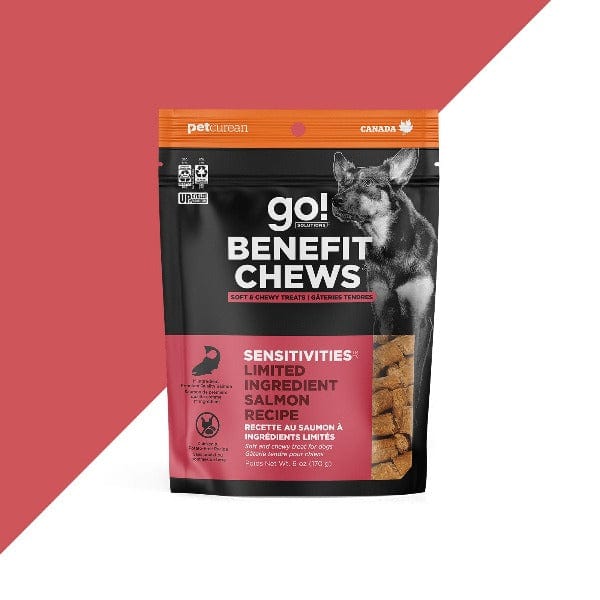 Go! Solutions Limited Ingredient Salmon Dog Treats for Sensitivities - Grain-Free, Hypoallergenic Snacks for Dogs with Allergies - Perfect for Training, Rewards & Digestive Health