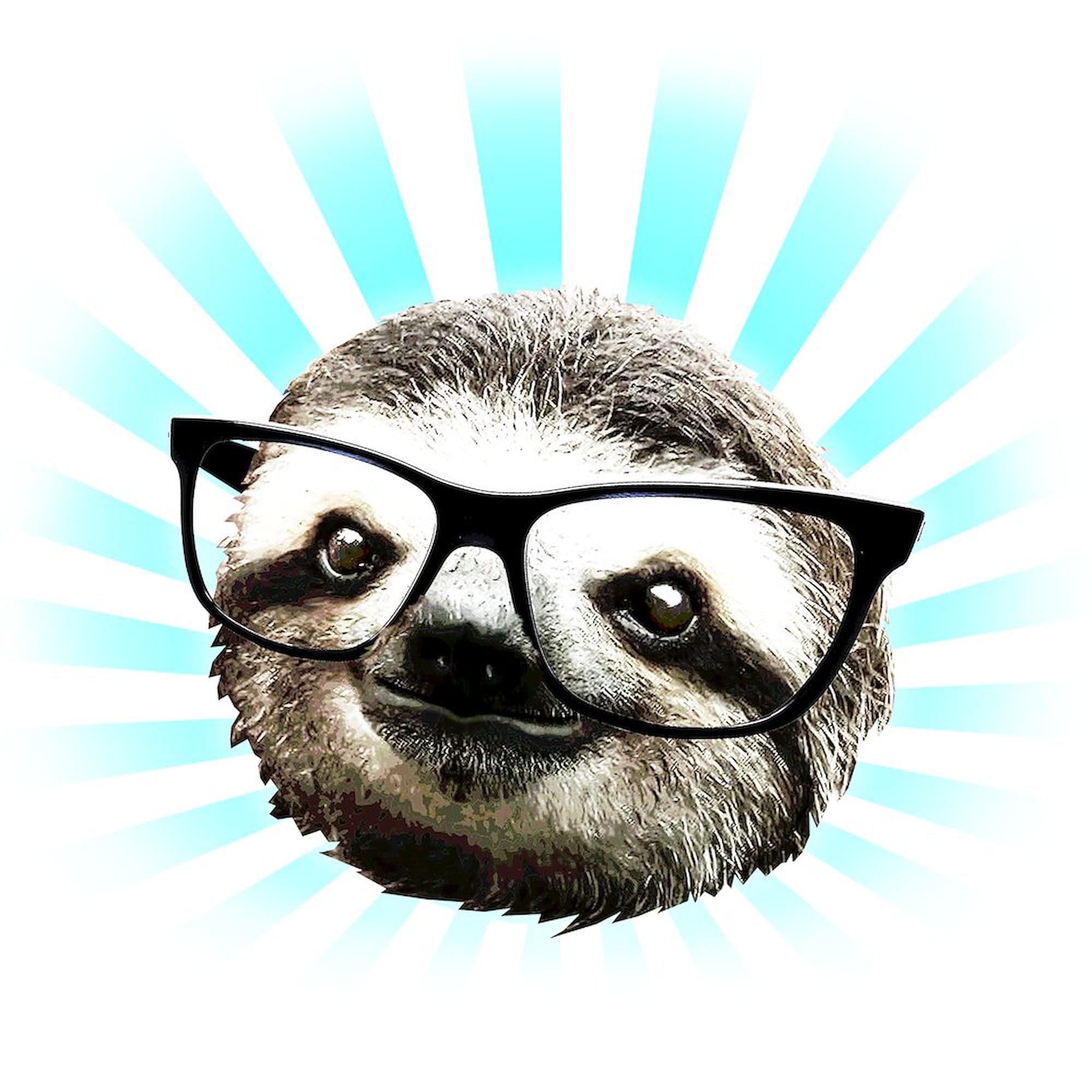 Cute Hipster Sloth Sticker - Waterproof Vinyl Bumper Decal for Cars, Laptops & Windows - Funny Animal Car Accessories for Sloth Lovers