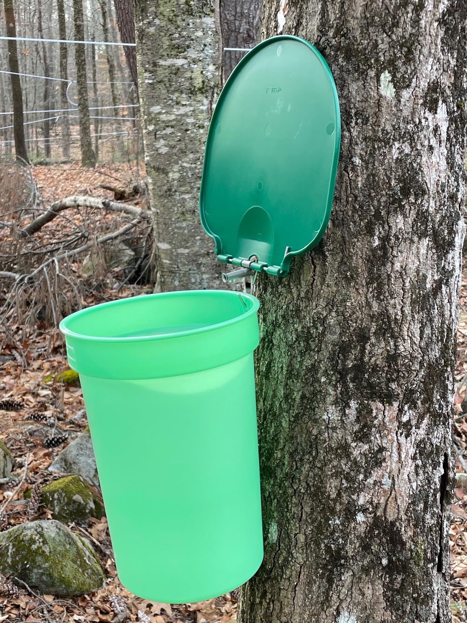 Premium Maple Syrup Kit - 3 Food-Grade Buckets with Lids, 3 Stainless Steel Taps, Tapping Drill Bit, 2 Filters & Maple Sugaring Guide for Home Brewing, DIY Syrup Making & Pancake Topping