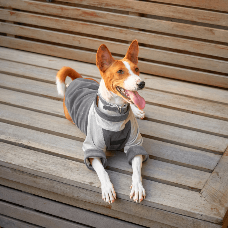 Stylish Gray Corduroy Sweater for Men & Women - Soft & Comfortable Winter Pullover for Casual Outfits & Cozy Layering