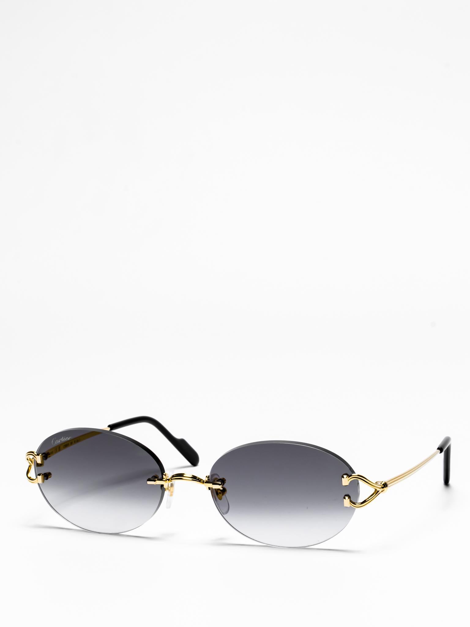 Cartier CT0551S 001 C Décor Sunglasses - Luxury Designer Shades for Women & Men | Perfect for Beach, Driving & Outdoor Fashion