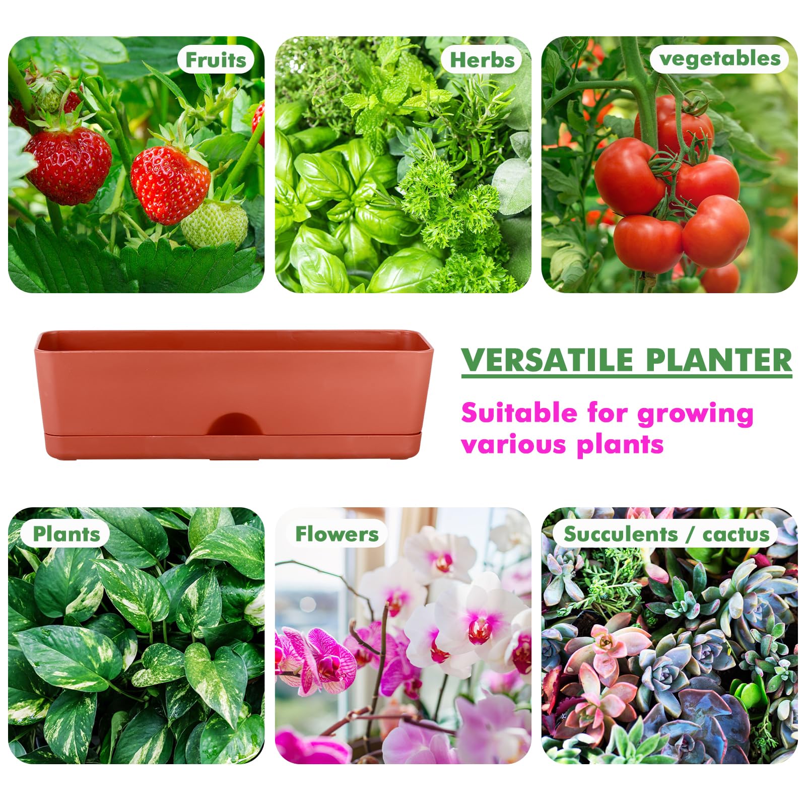 2-Pack 16 Inch Large Rectangle Plastic Window Box Planters for Herbs, Vegetables, Flowers - Indoor & Outdoor Use, Perfect for Windowsill, Balcony, and Garden Decor