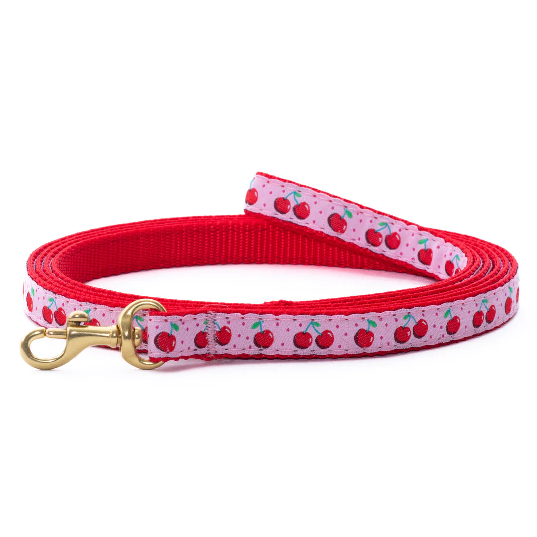Premium Dog Leash for Small to Medium Dogs - Durable & Adjustable Cherry Red Pet Lead for Walking, Training & Outdoor Adventures