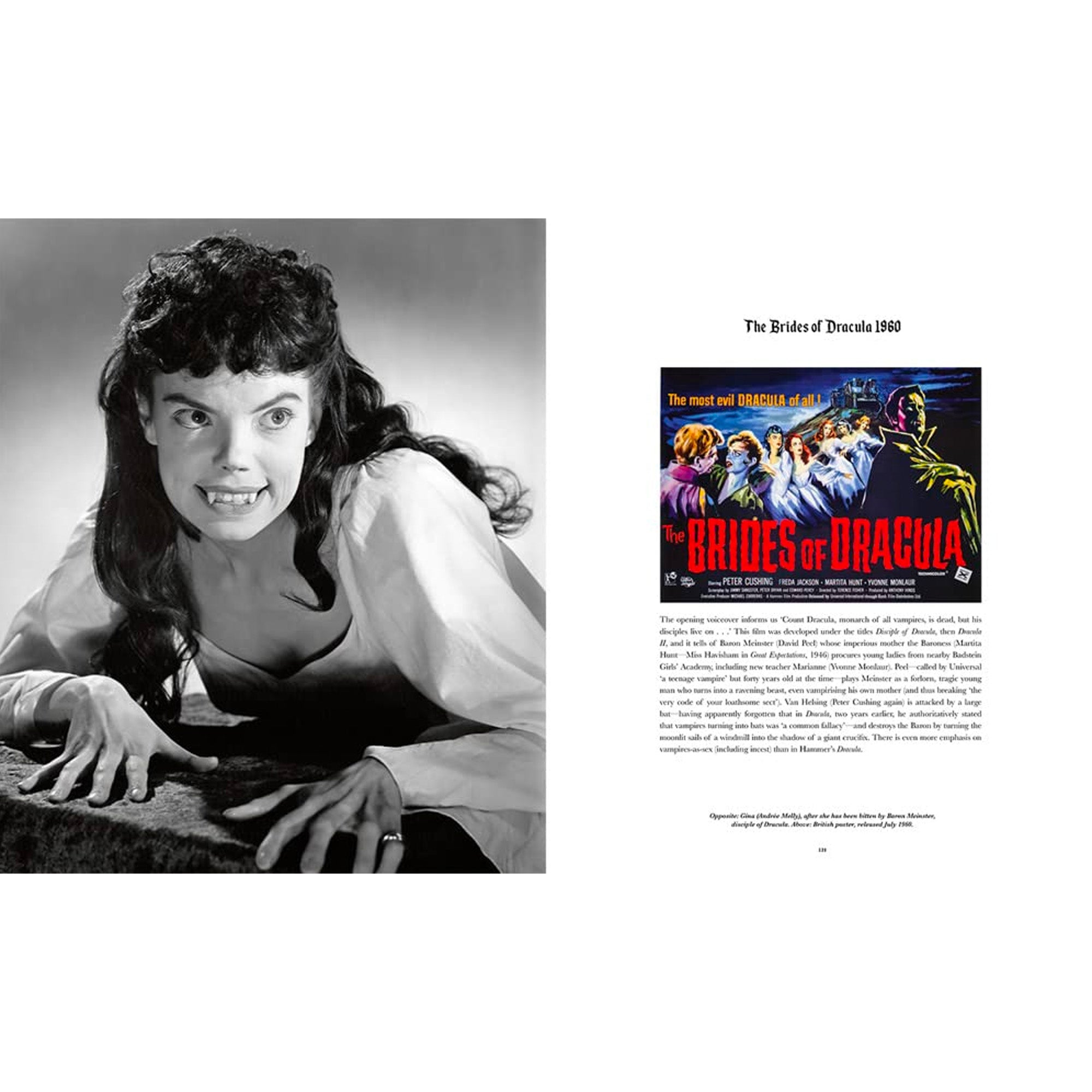 Vampire Cinema Hardcover Book - Gothic Horror Film History & Analysis - Perfect for Movie Buffs & Halloween Collectors