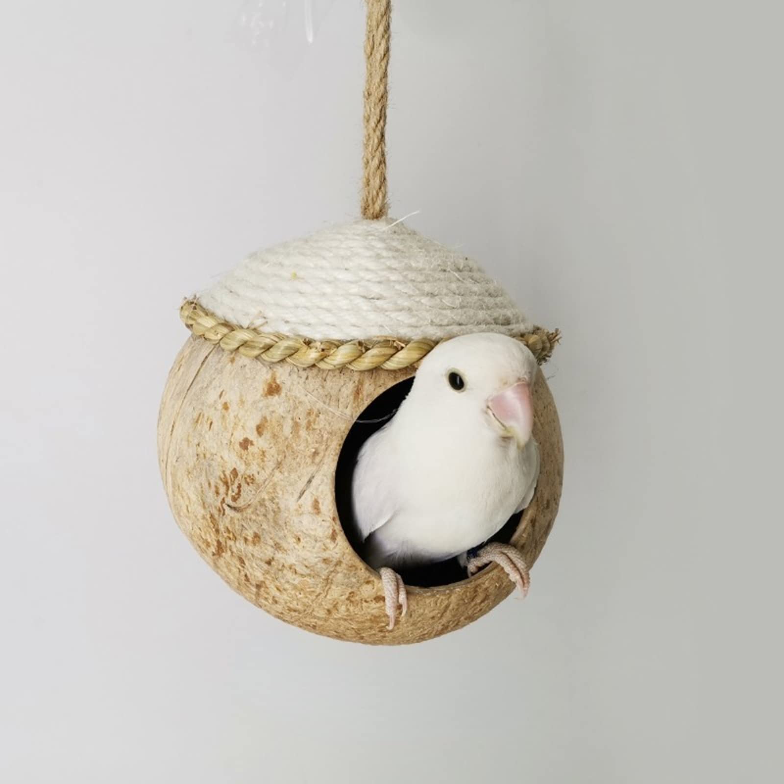 Natural Coconut Shell Bird Nest House - Simulation Birdhouse for Parakeets, Grass Hut with Straw Rope (Small Size) | Perfect for Outdoor Garden, Aviary & Backyard Bird Watching