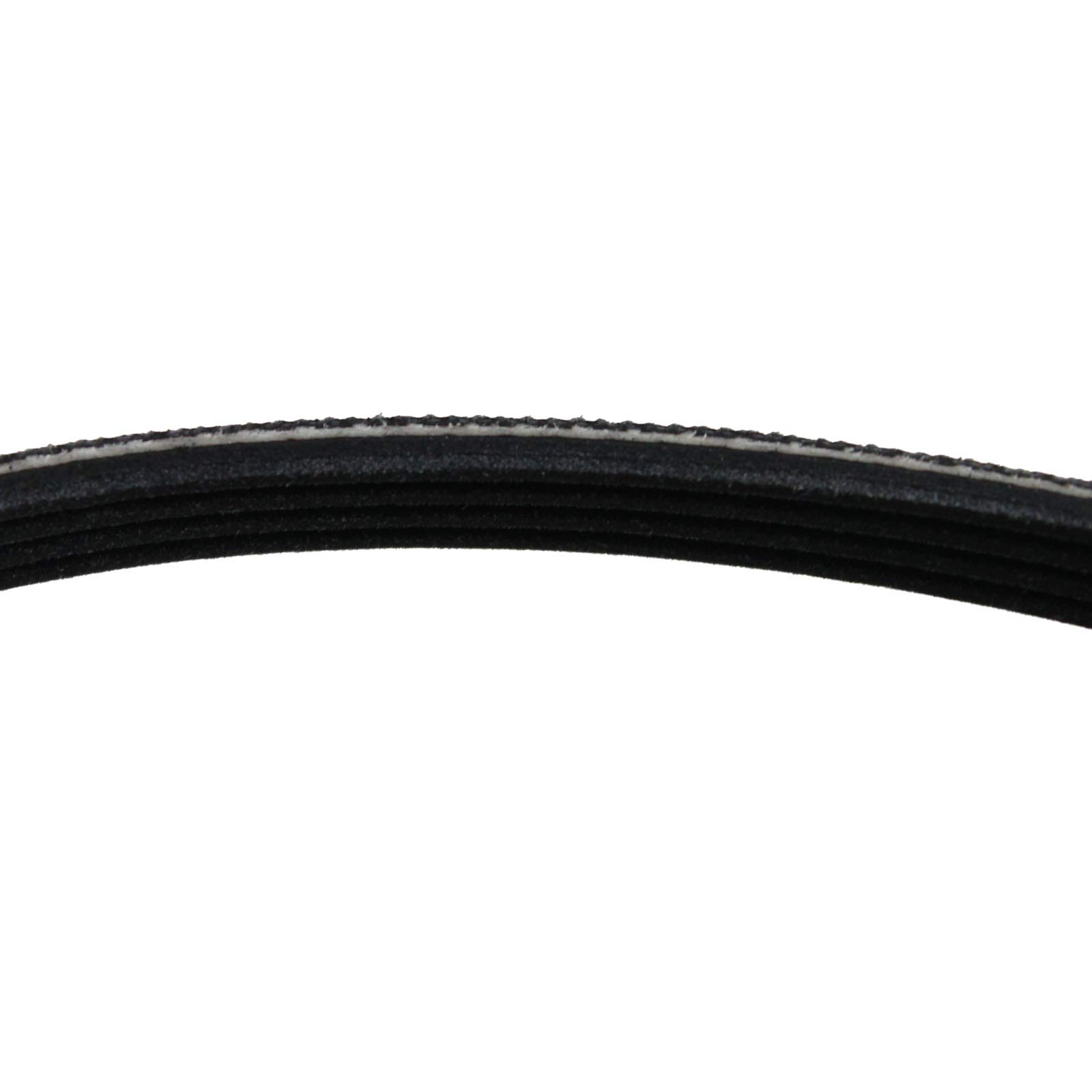 Gibson GES831AS0 Dryer Belt Replacement - Compatible with 134163500 Drum Belt - Perfect for Home Laundry Appliance Repair & Maintenance