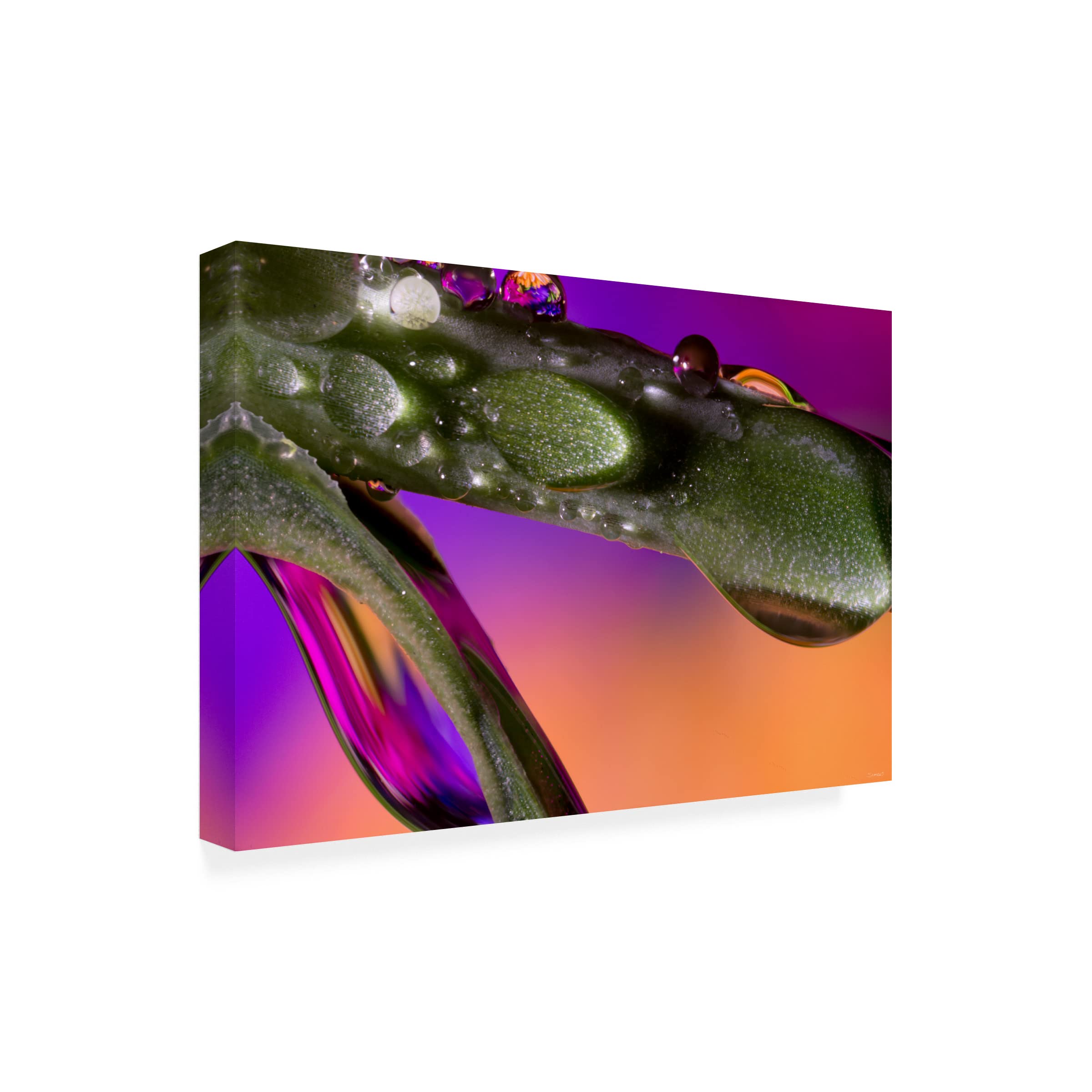 Gordon Semmens 'Water Drops 02' Abstract Canvas Wall Art Print - 16x24 Inches - Modern Home & Office Decor for Living Room, Bedroom, Bathroom