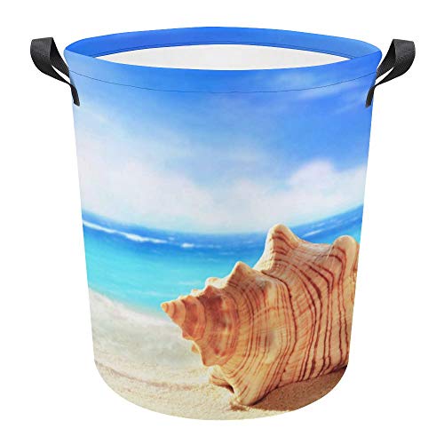 Seaside Shell Summer Blue1