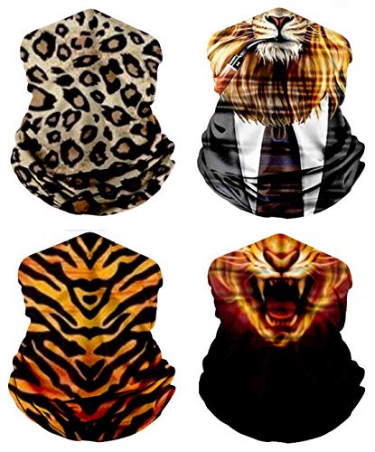 Big Cat Bundle Set