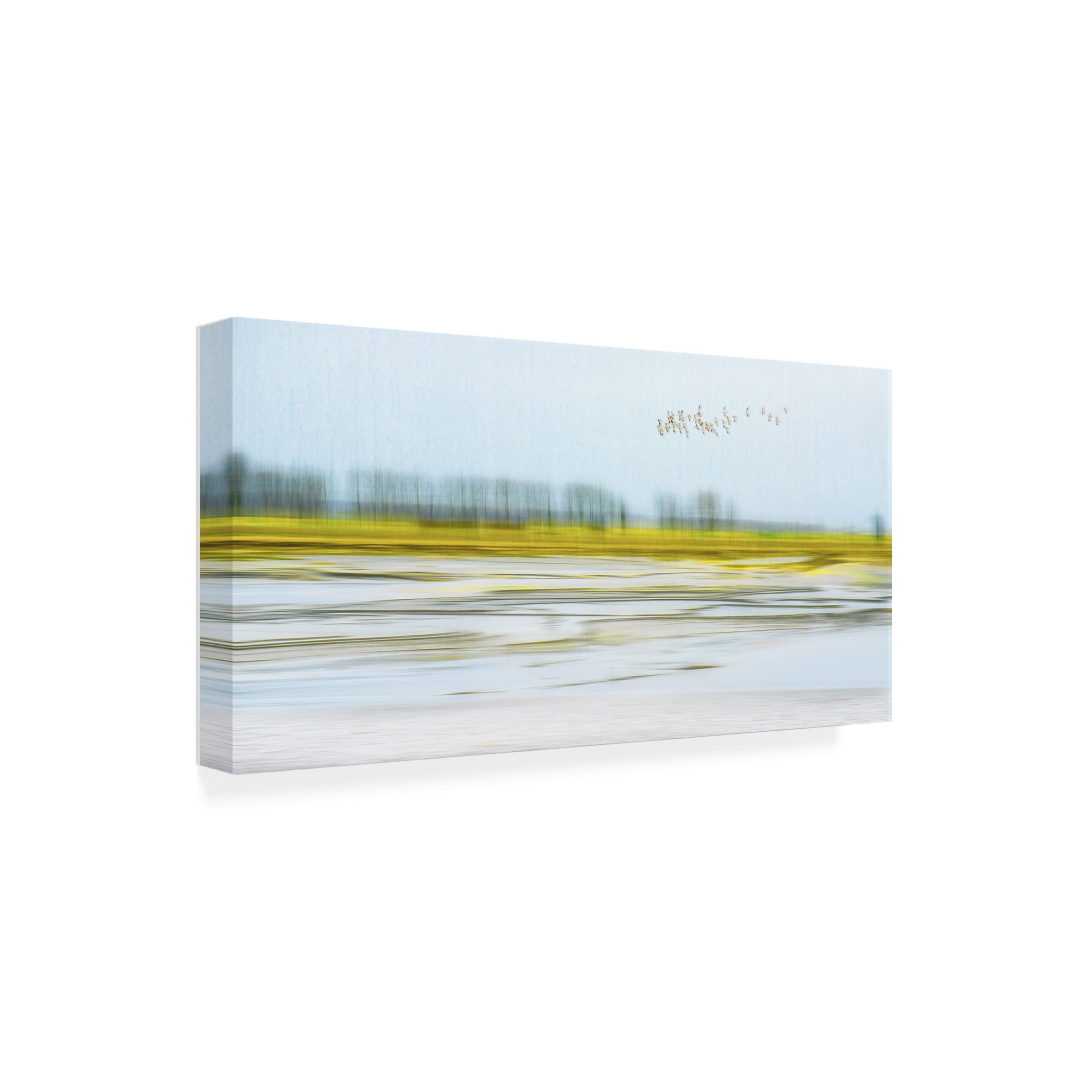 Trademark Fine Art 'Peace' Canvas Wall Art by Mozart Chan - Perfect for Living Room, Bedroom & Office Decor