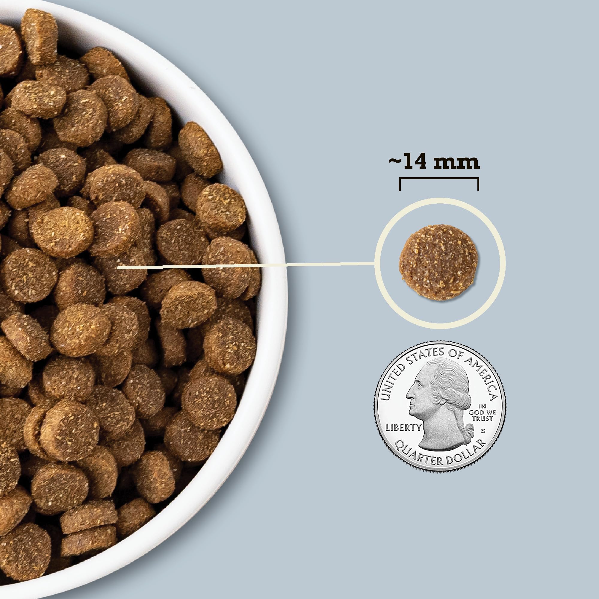 ACANA Wholesome Grains Dry Dog Food - Sea to Stream Recipe with Saltwater & Freshwater Fish & Grains - 22.5lb Bag - High Protein Grain-Inclusive Nutrition for Active Dogs - Perfect for Outdoor Adventures & Daily Feeding