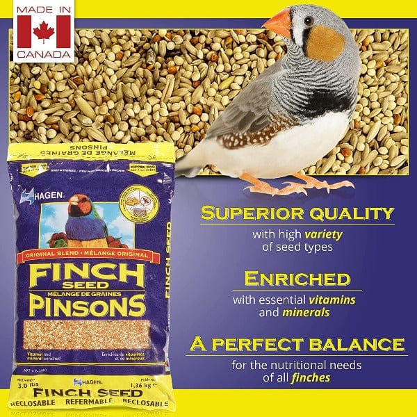 Hagen Finch Staple VME Seed - Premium Quality Seeds for Home Gardening, Planting & Landscaping | Ideal for DIY Garden Projects, Backyard Planting & Urban Farming