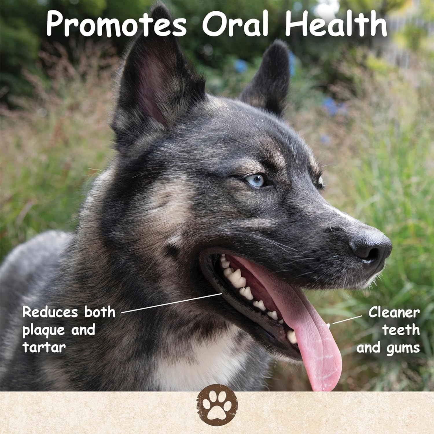 Premium All-Natural Cow Ears Dog Chews - High Protein, Grain-Free, USA Made Healthy Treats for Medium & Large Dogs - Perfect for Training, Dental Health & Long-Lasting Chewing (12-Pack)