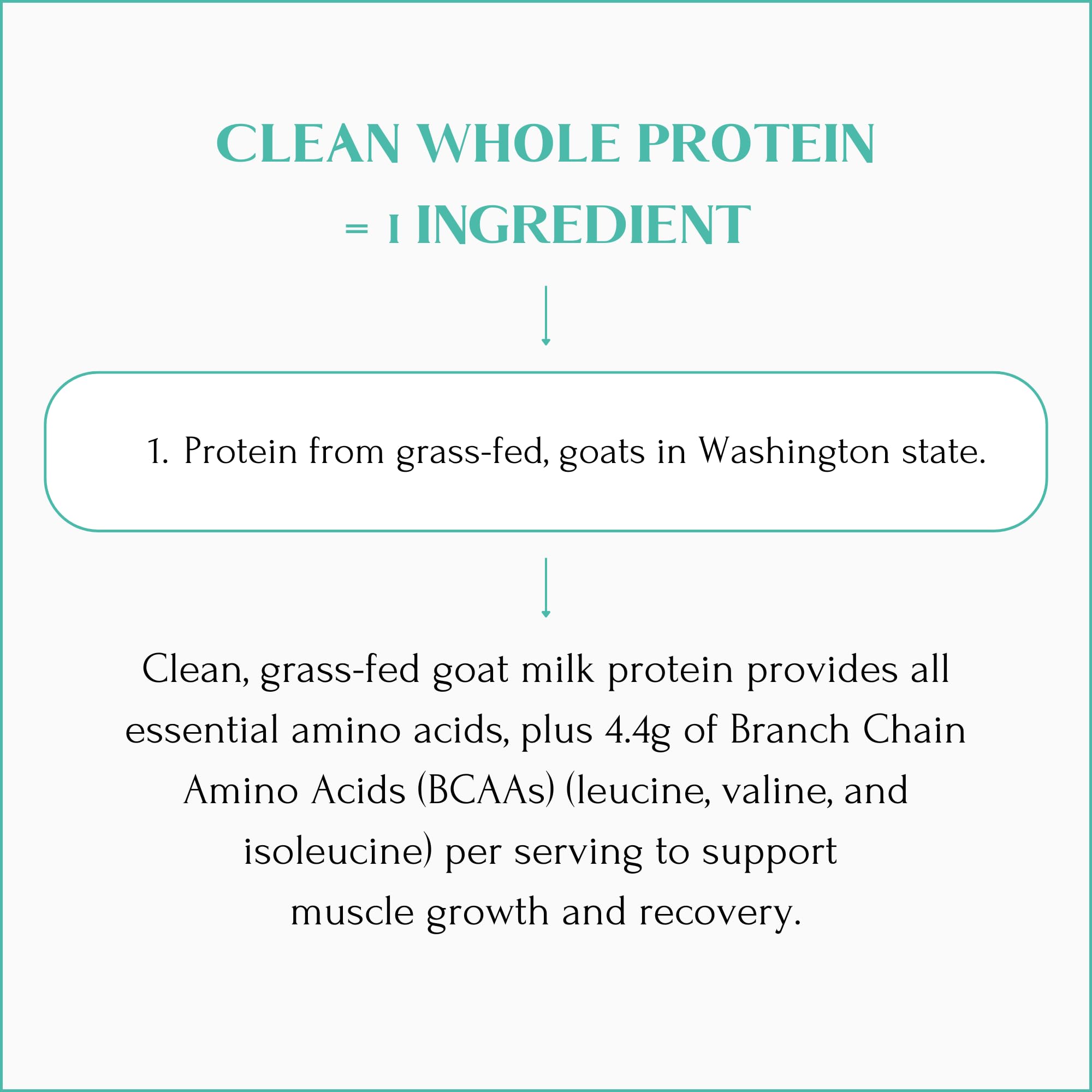Mt. Capra Clean Whole Protein Powder | Grass-Fed Goat Whey & Casein Protein for Muscle Growth | 20g Protein per Serving, No Sweeteners, Easy Digestion | 13 Servings (400g) - Ideal for Post-Workout Recovery & Healthy Lifestyle