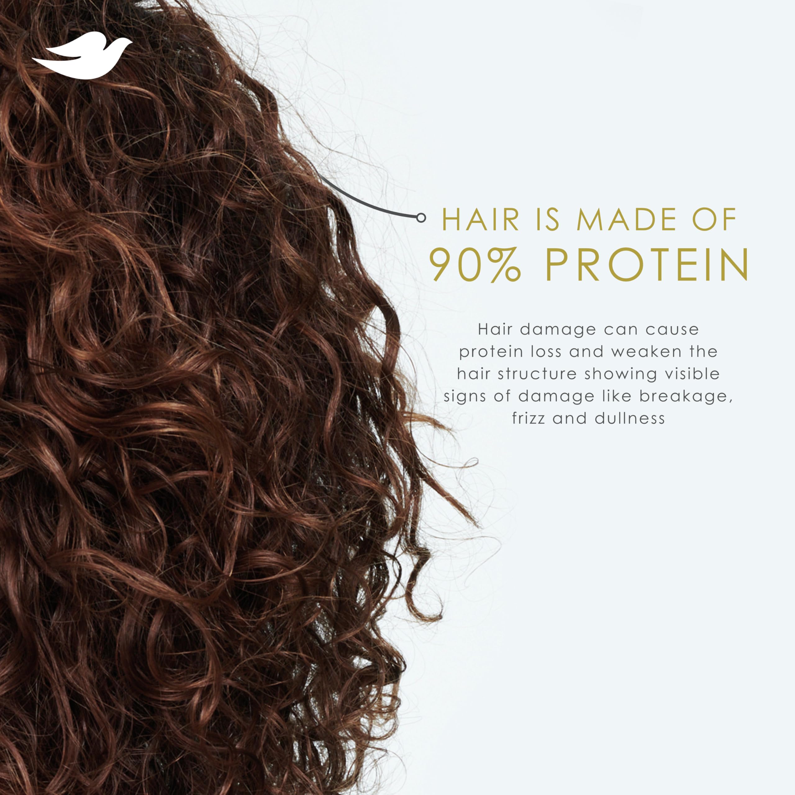 Dove Coconut & Hydration Shampoo and Conditioner Set (2 x 12 Fl Oz) - Bio-Protein Care Technology with Coconut Oil for Dry Hair Repair | Daily Hair Care for Women & Men | Perfect for Home, Travel & Gym Use