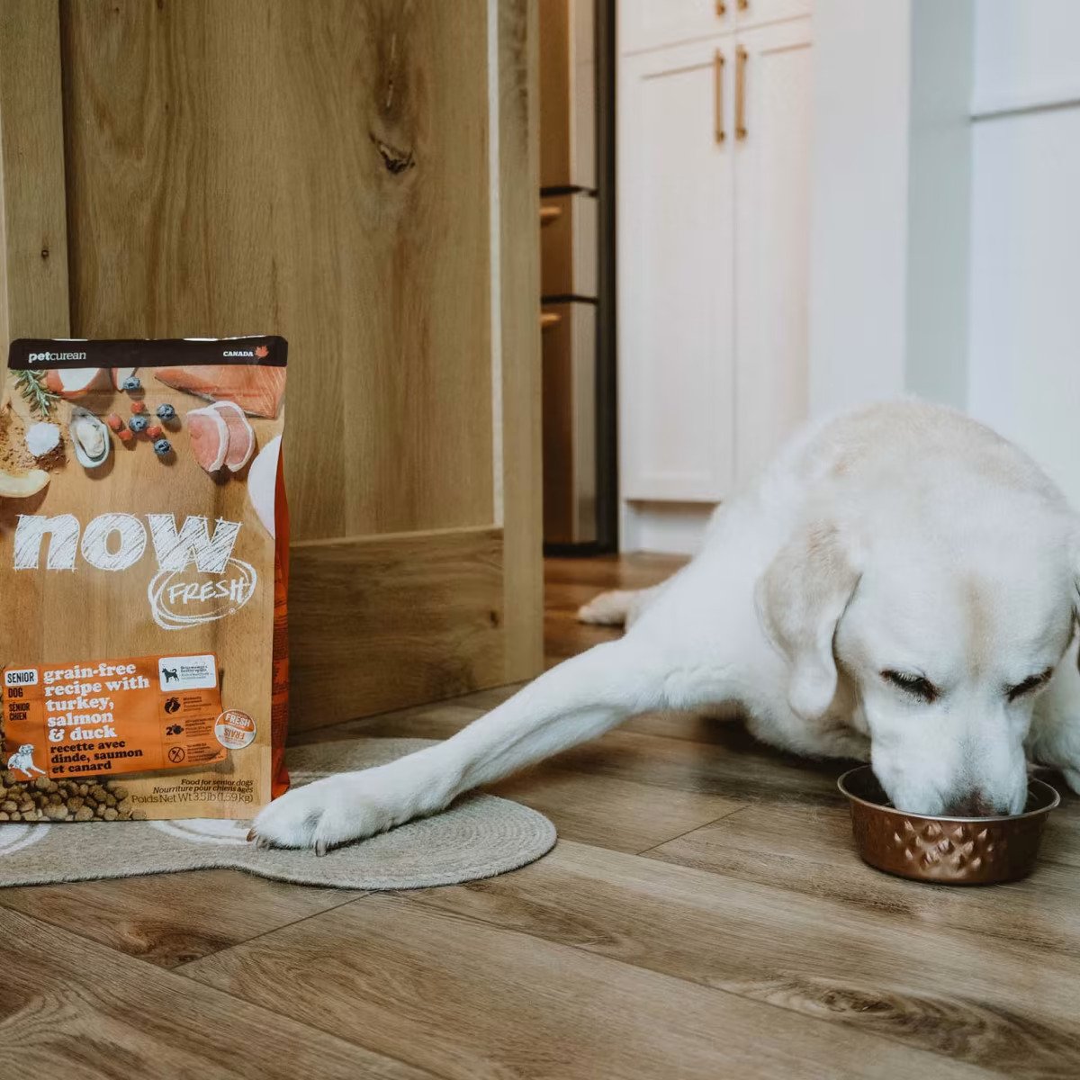Premium Grain-Free Dog Food with Turkey, Duck & Salmon - High Protein Dry Kibble for Adult Dogs - Ideal for Sensitive Stomachs & Allergies - Perfect for Active & Senior Dogs