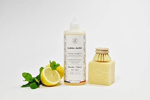 Eco-Friendly Dish Washing Liquid - Mint & Citrus Scent, 500ml Bottle | Gentle on Hands, Tough on Grease | Perfect for Kitchen, Camping & Travel Use