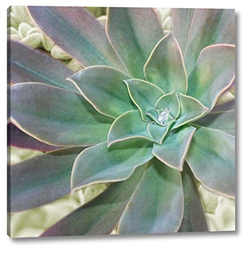 Wrapped Canvas