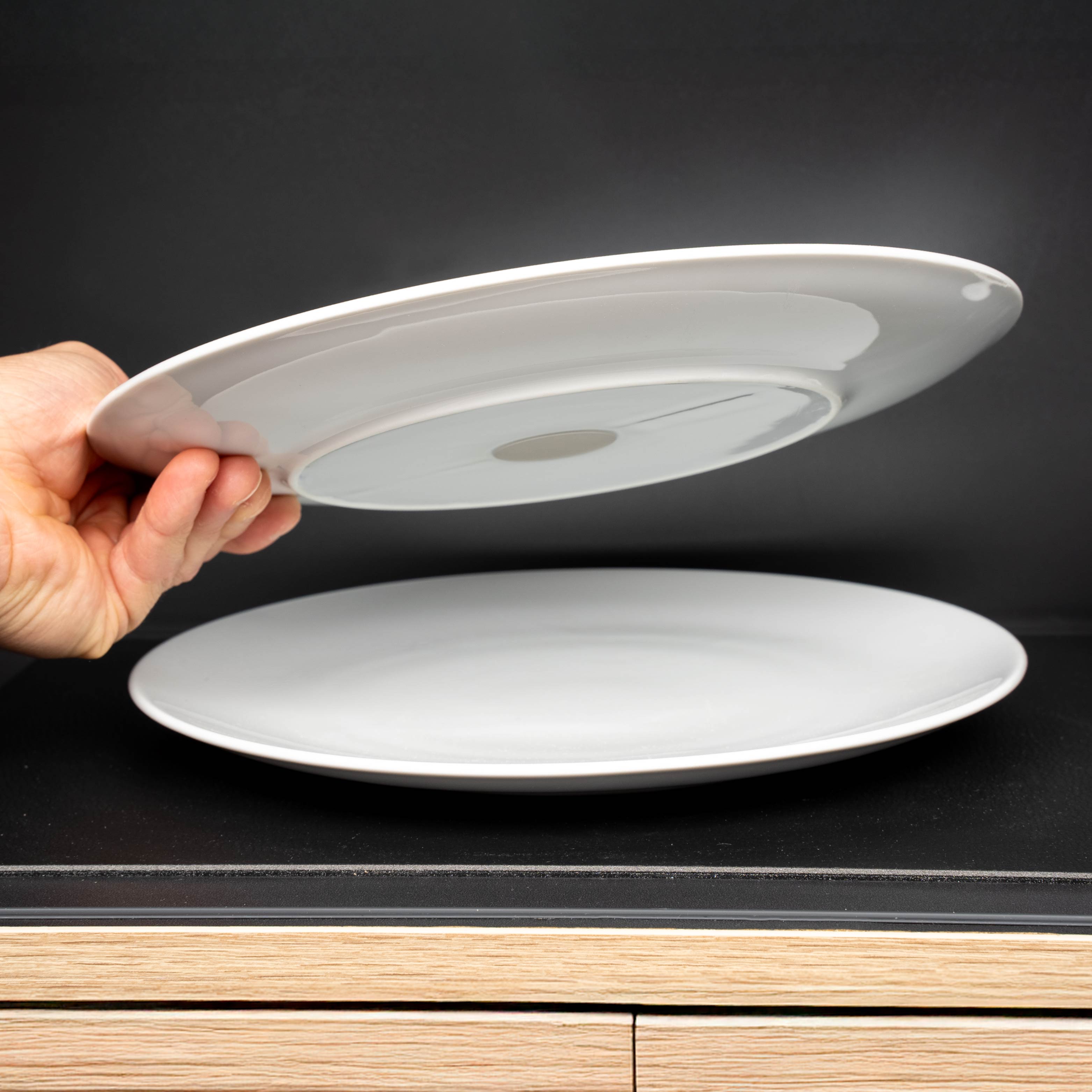 26cm Magnetic Porcelain Plate - Durable Dinnerware for Restaurants, Home Dining & Party Serving