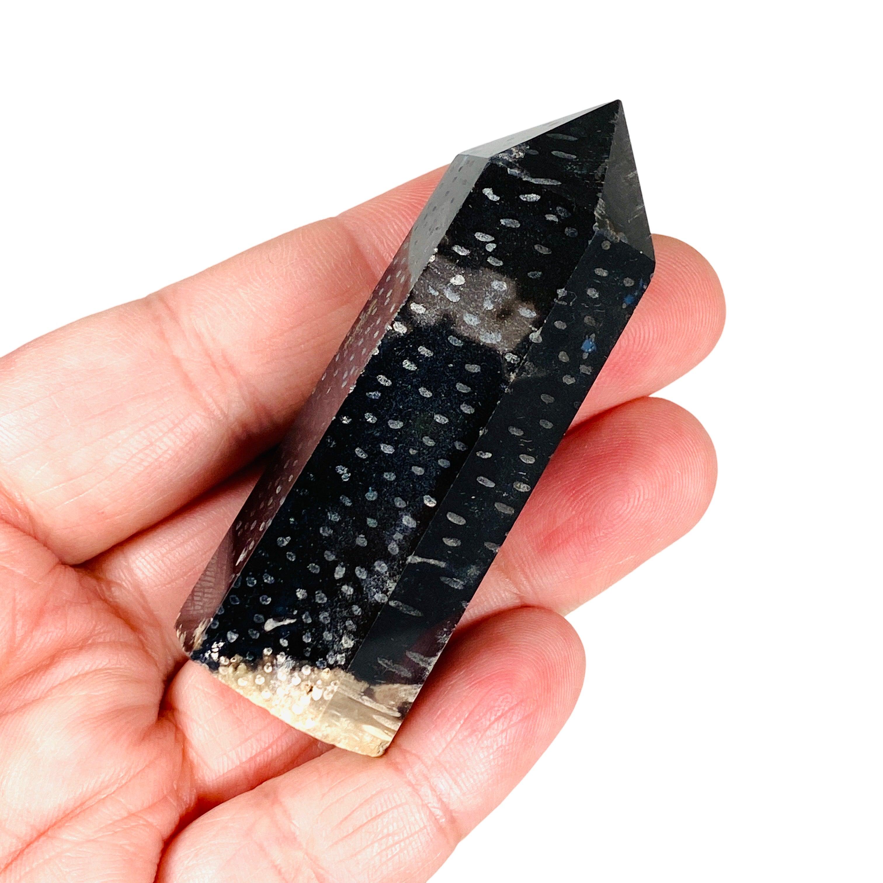 Petrified Palm Root Generator RTP 02 - Natural Fossilized Wood Power Source for Home Decor & Science Projects