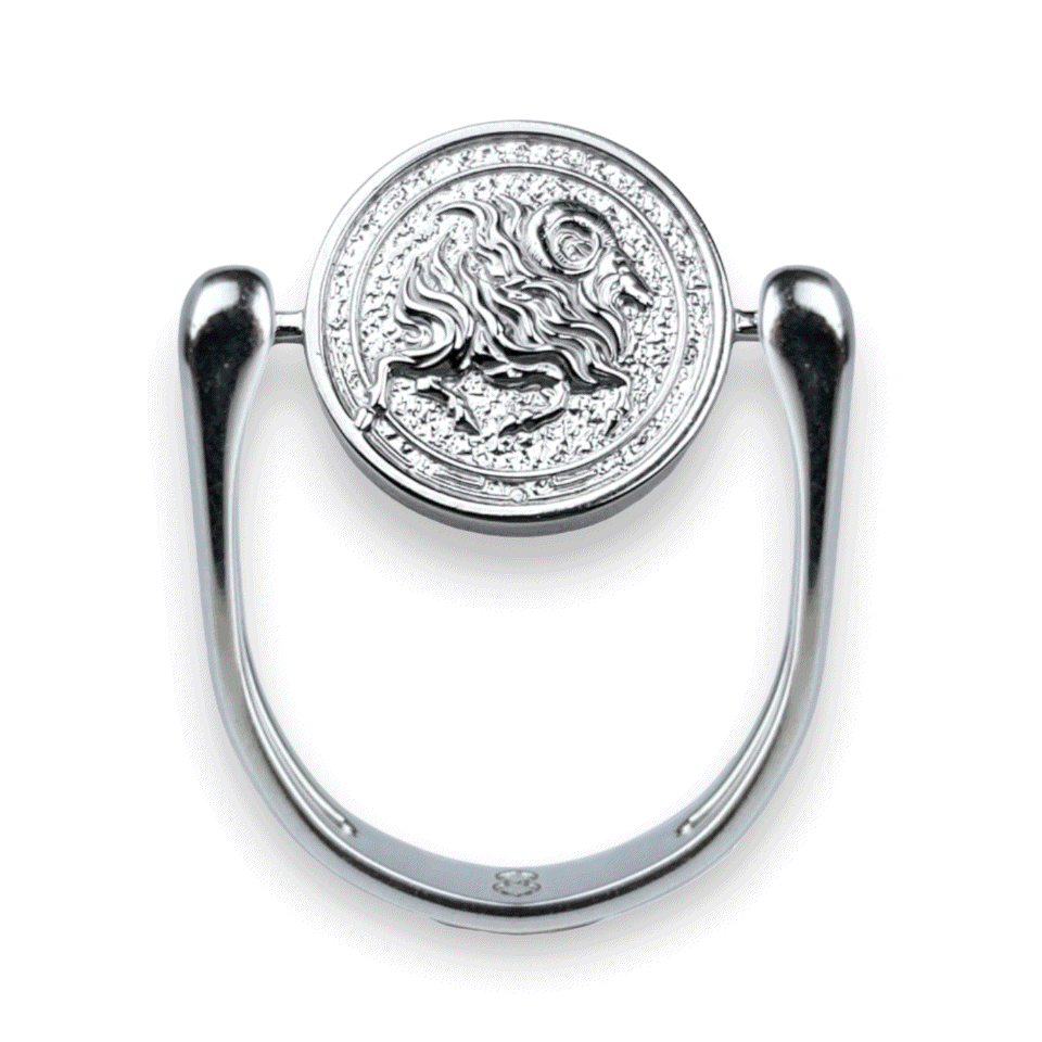 Stylish Silver Zodiac Fidget Ring for Anxiety Relief - Perfect for Stress Relief, Focus & Meditation | Astrology Jewelry Gift for Women & Men