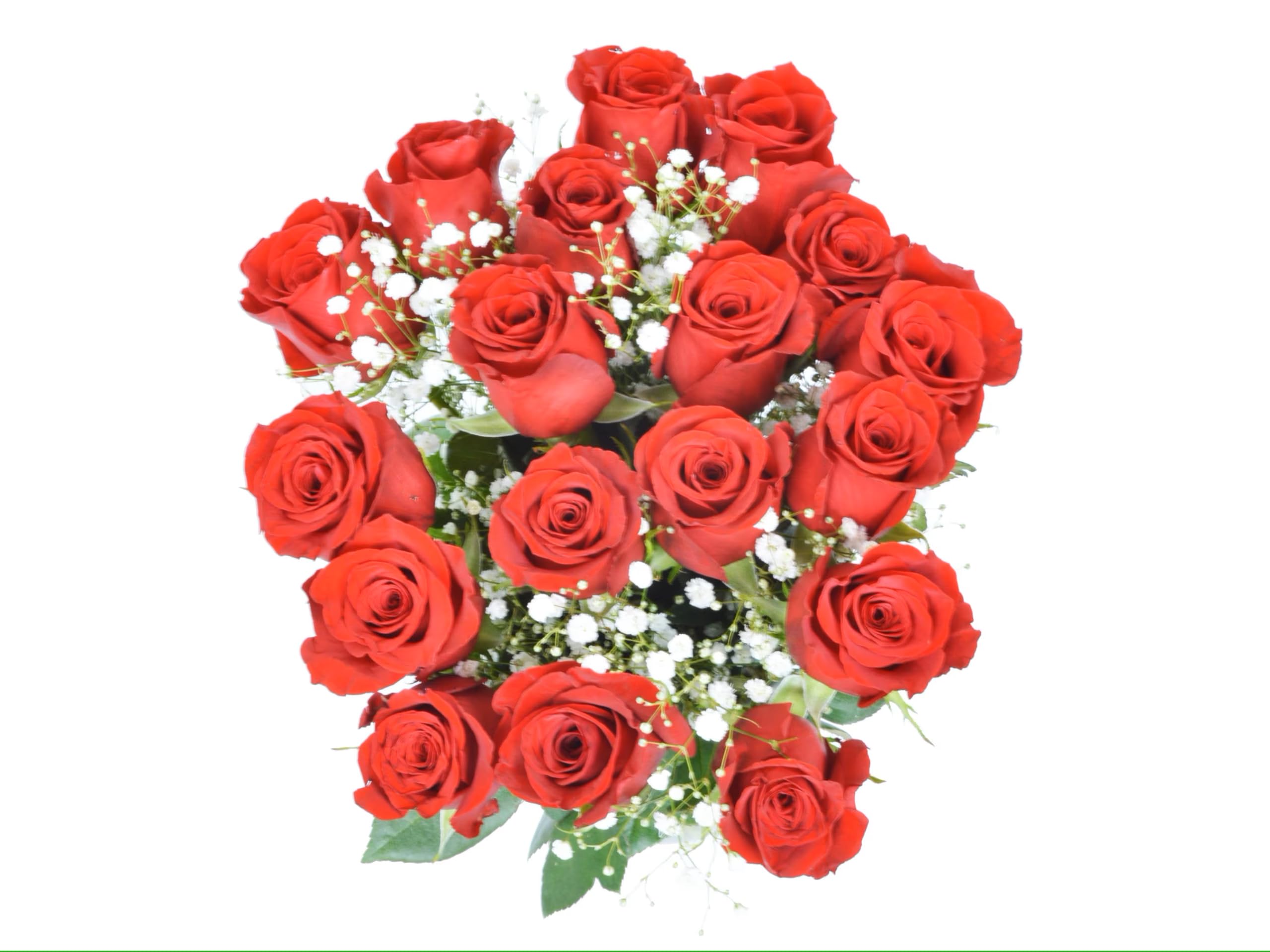18 Red Roses with Baby's Breath in Glass Vase - Fresh Flower Bouquet for Birthday, Anniversary & Congratulations | Arabella Bouquets | Perfect for Romantic Gifts, Wedding Decor & Home Centerpieces