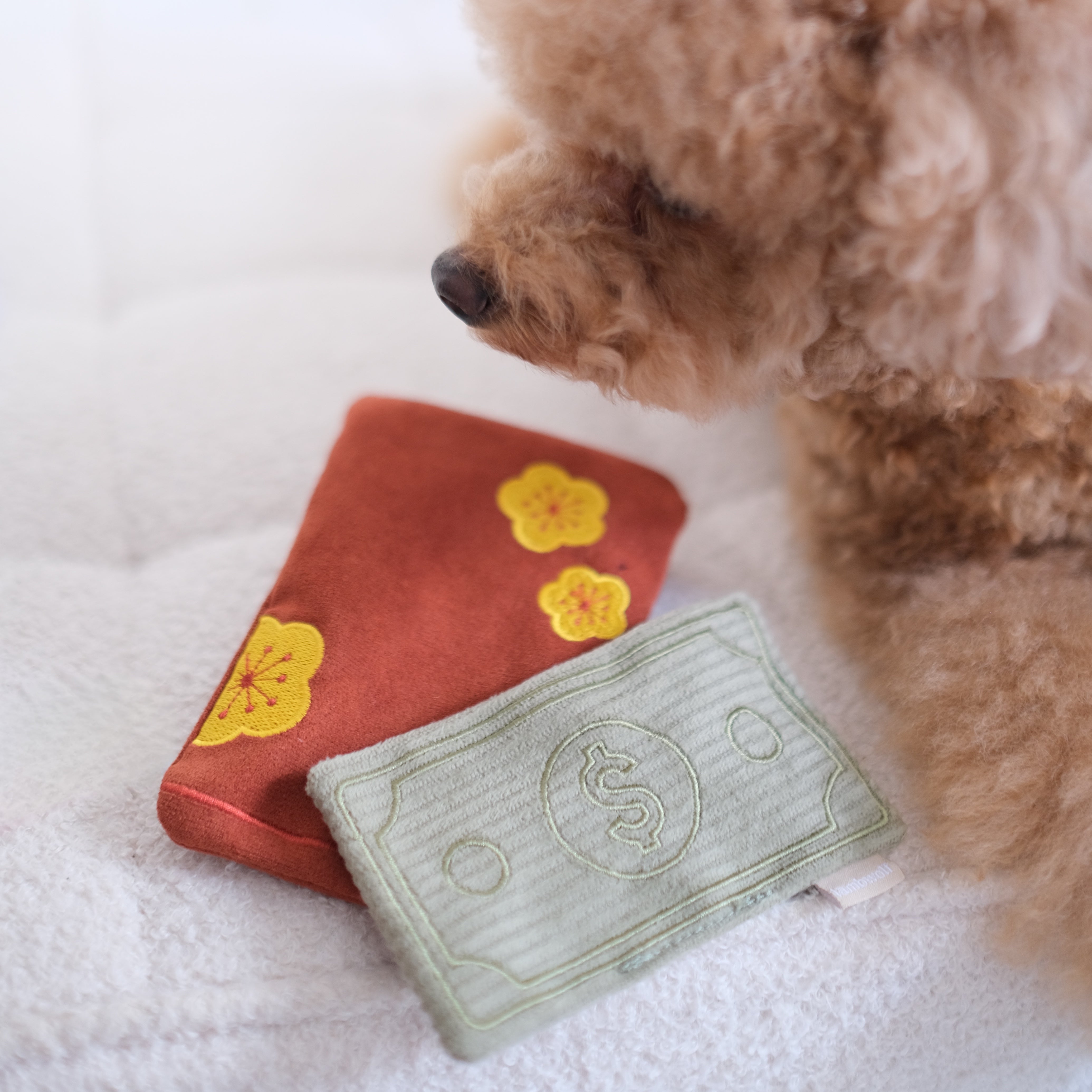Red Pocket Envelopes - Traditional Chinese Lucky Money Envelopes for Lunar New Year, Weddings & Special Occasions - Set of 10 Premium Red Envelopes with Gold Foil Designs