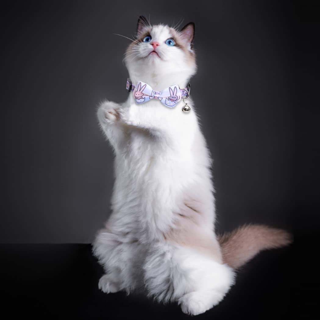 Lamphyface Breakaway Cat Collar with Adjustable Bow Tie & Bell - Easter Bunny Themed Pet Safety Collar for Kittens | Perfect for Easter Photos, Holiday Dress-Up & Kitty Fashion Accessories