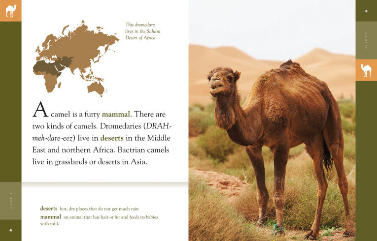 Amazing Animals (2014): Camels - Educational Wildlife Documentary for Kids & Adults - Perfect for Classroom Learning and Nature Enthusiasts