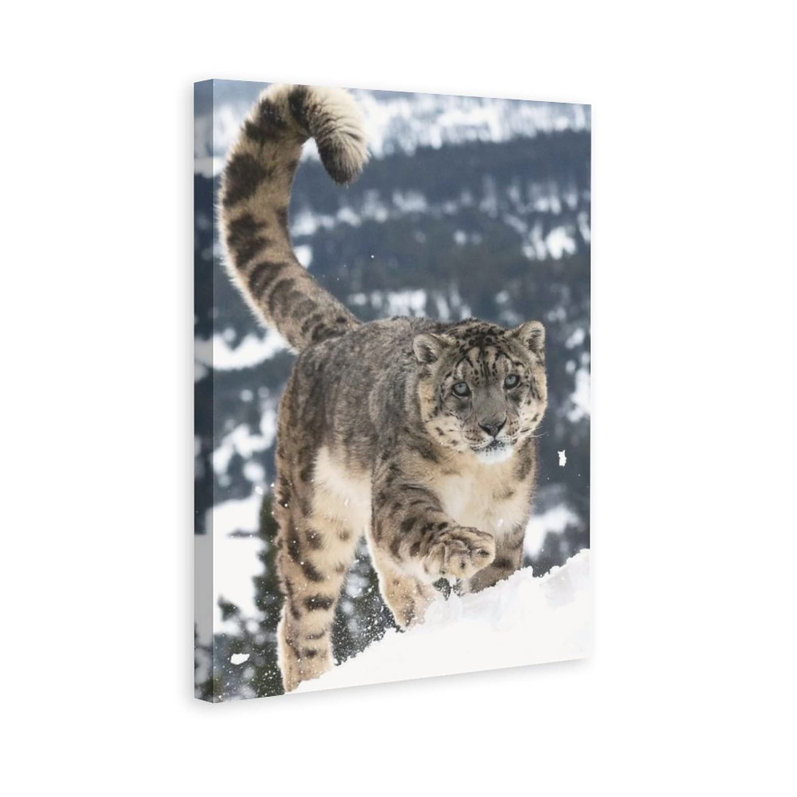 Snow Leopard Canvas Wall Art Print - Nature Wildlife Animal Painting for Living Room, Bedroom & Office Decor - 8x12 Inches (20x30cm) - Perfect Gift for Home, Sports Enthusiasts & Nature Lovers