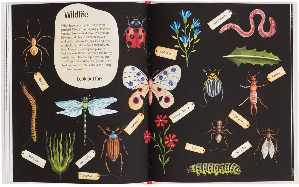 Easy Peasy: Fun Gardening Kit for Kids - Educational Outdoor Activity for Children's Nature Exploration & STEM Learning