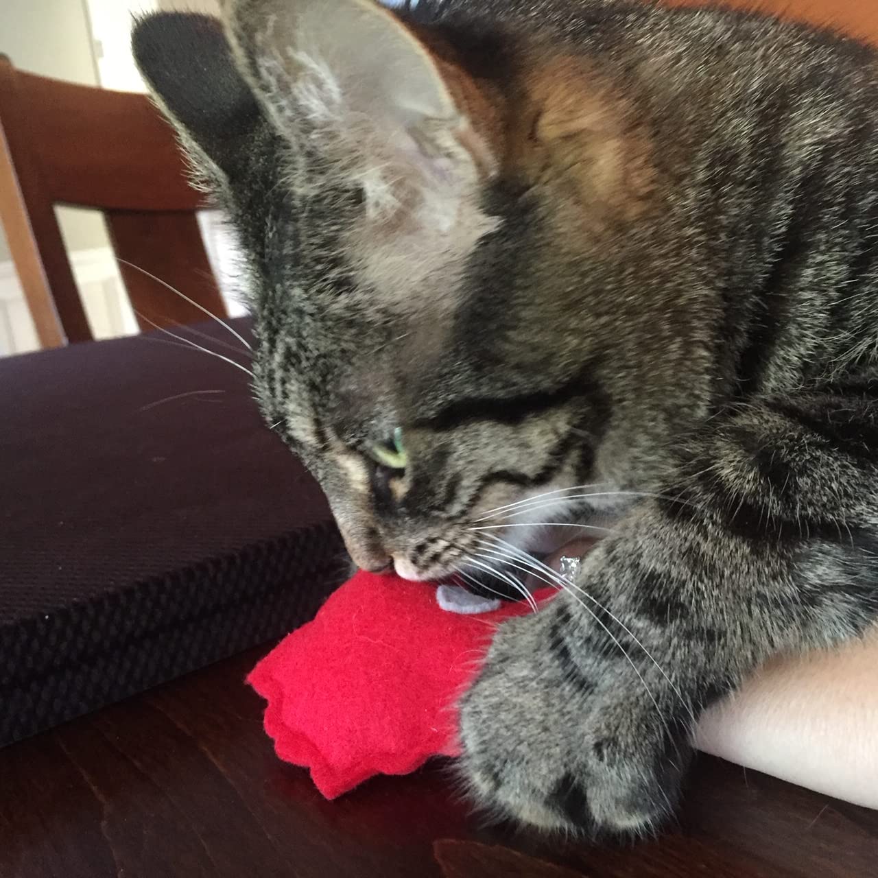 Ohio State Buckeyes Catnip Cat Toy Pack - Fun & Safe Catnip Toys for Kittens & Adult Cats - Perfect for Playtime, Training & Stress Relief