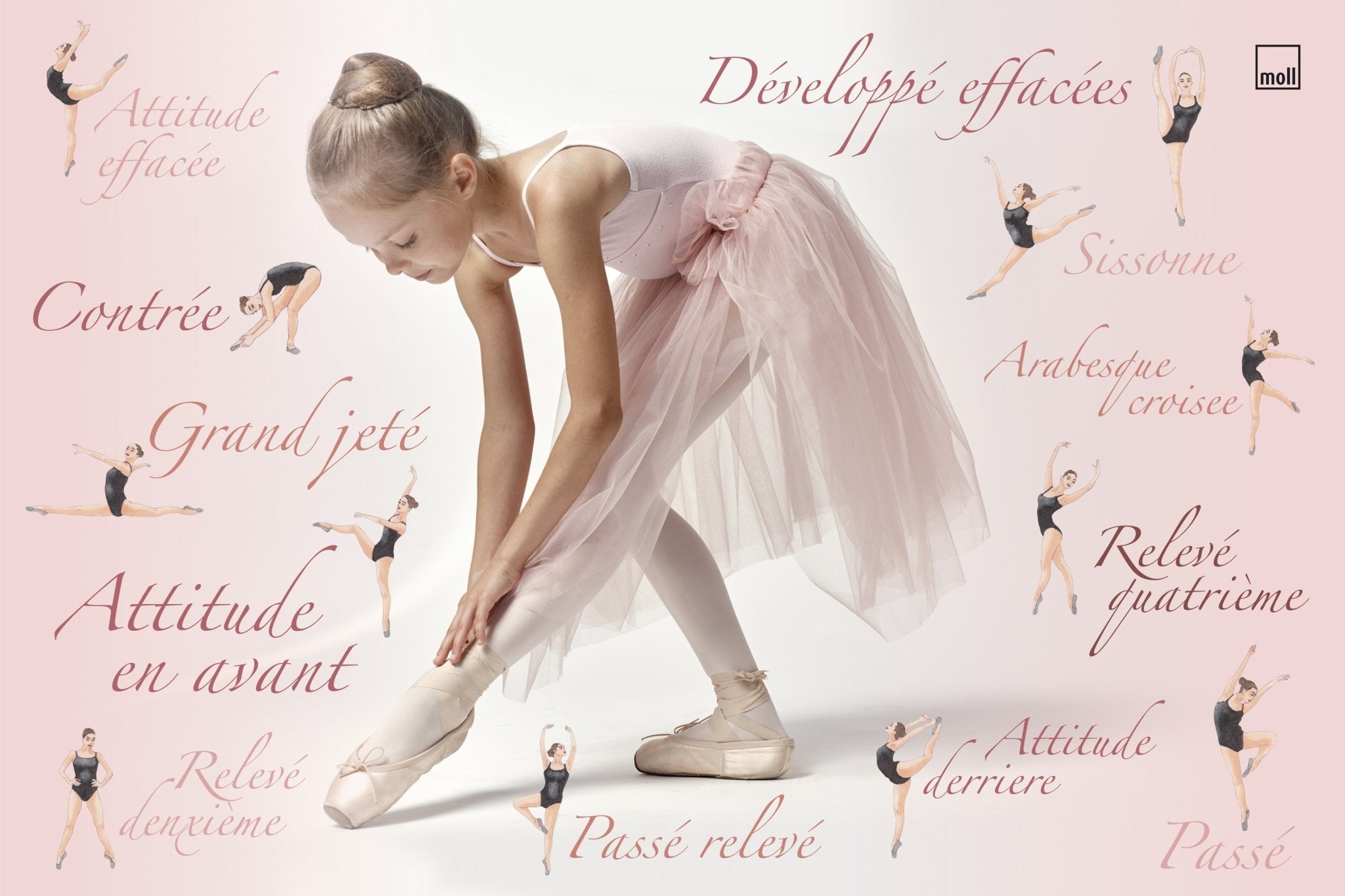 Premium Moll Blotting Pad for Ballerinas – Oil Absorbing Face Blotting Paper for Dance Performances & Stage Makeup