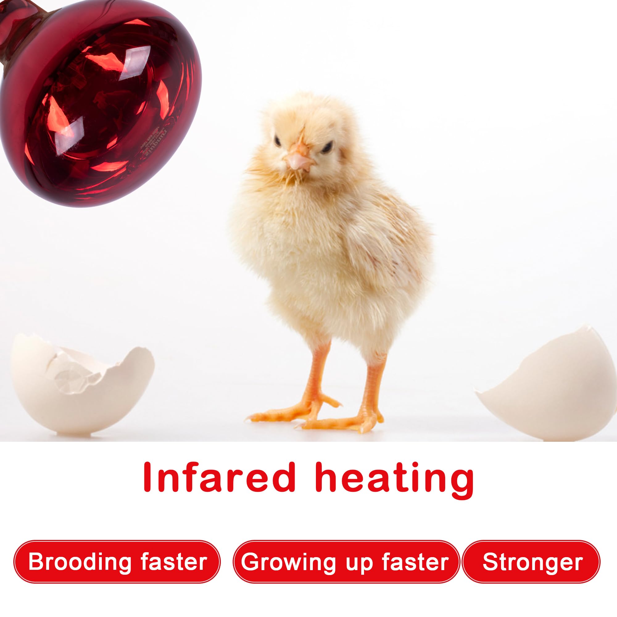 Infrared Heat Lamp Bulb 100W R40 Red Heat Light for Chicken Coop, Pet Warming, Bathroom Heating & Food Keeping - Brooder Bulb with Reflector (1 Pack) - Perfect for Poultry, Reptiles & Indoor Use