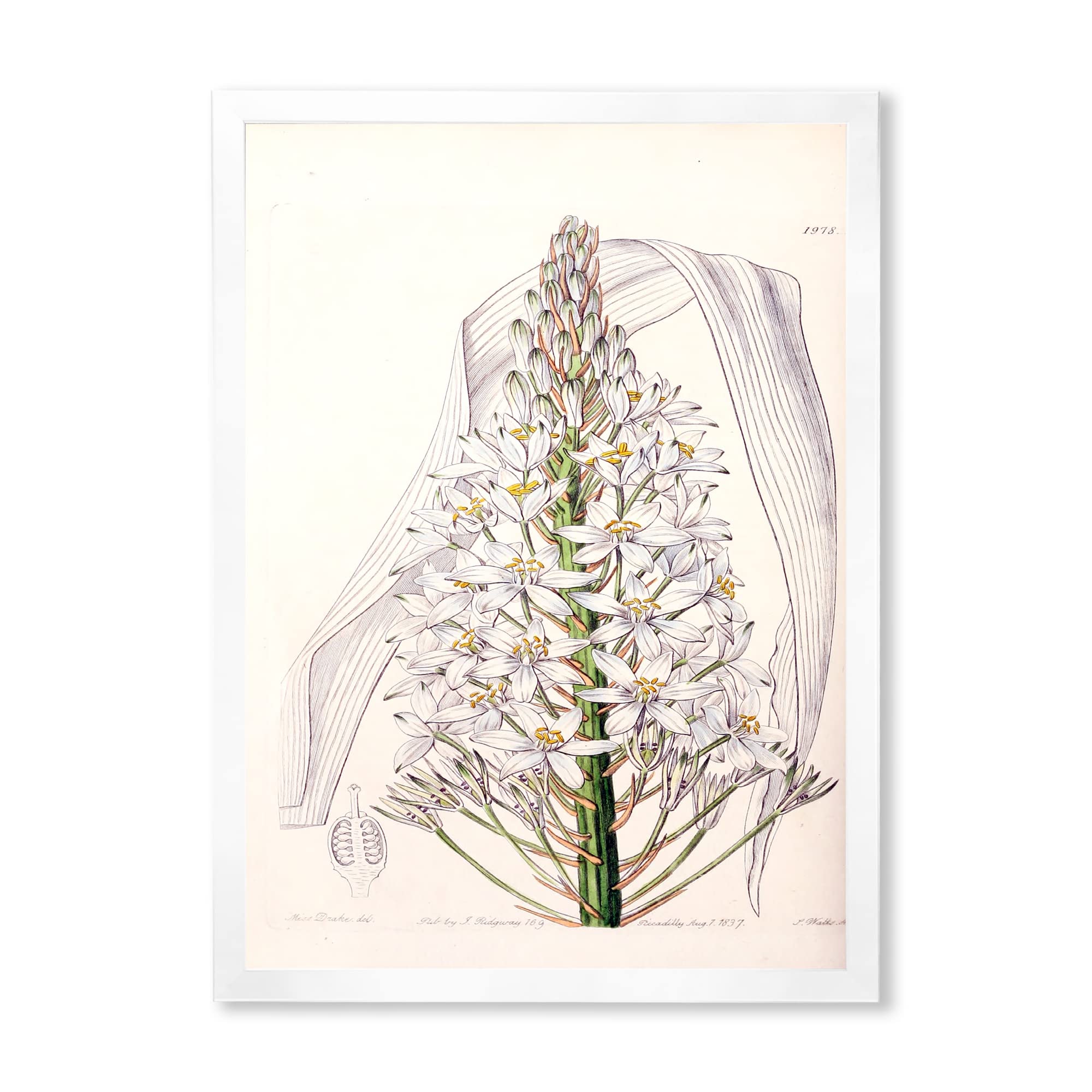 Vintage White Orchid Framed Wall Art - Traditional Home Decor for Living Room, Bedroom & Office - Elegant Floral Painting for Interior Design