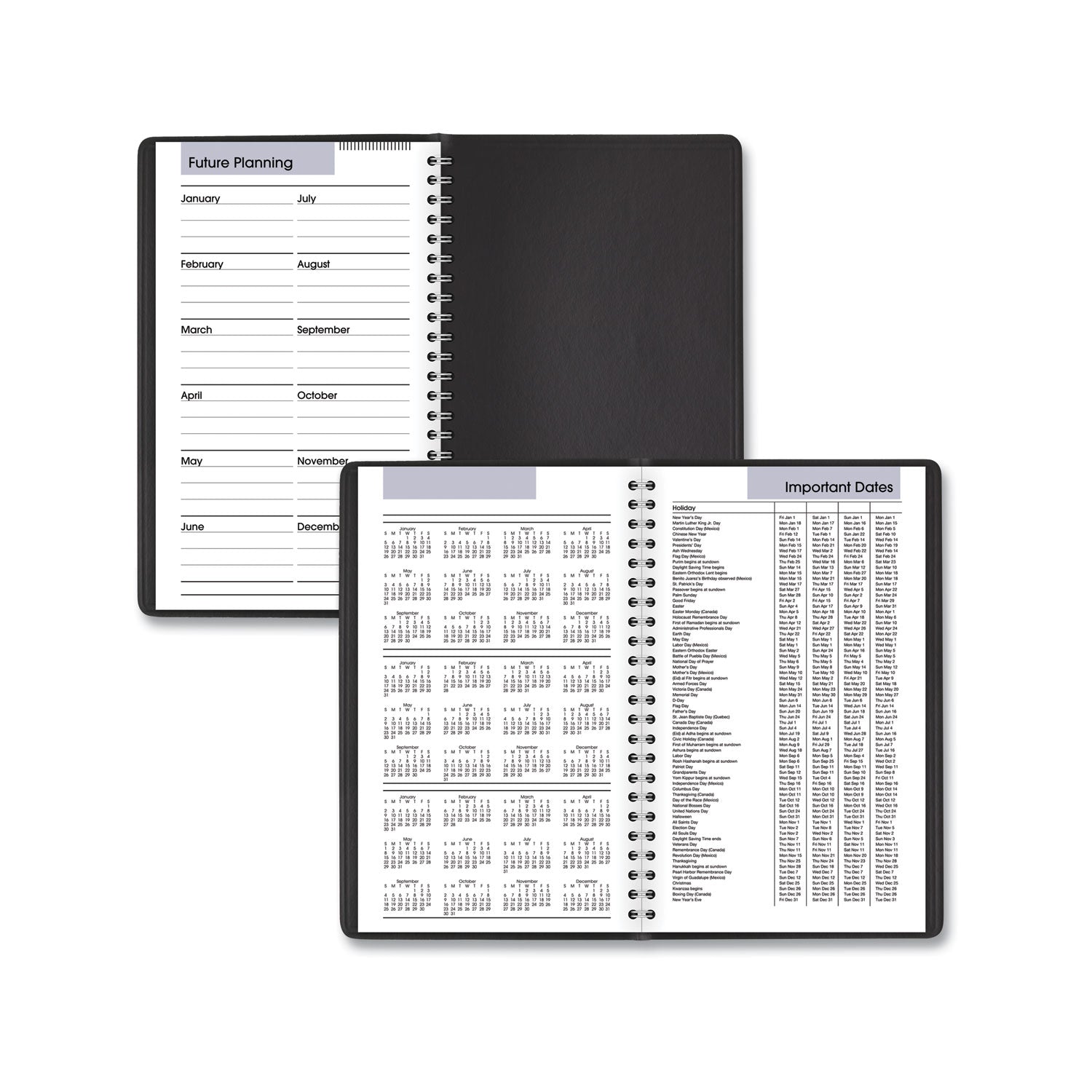 AT A GLANCE® 2025 DayMinder Daily Planner - 8.5 x 5.5 Inch Black Appointment Book, 12-Month (January to December) Organizer - Perfect for Business, School & Personal Scheduling