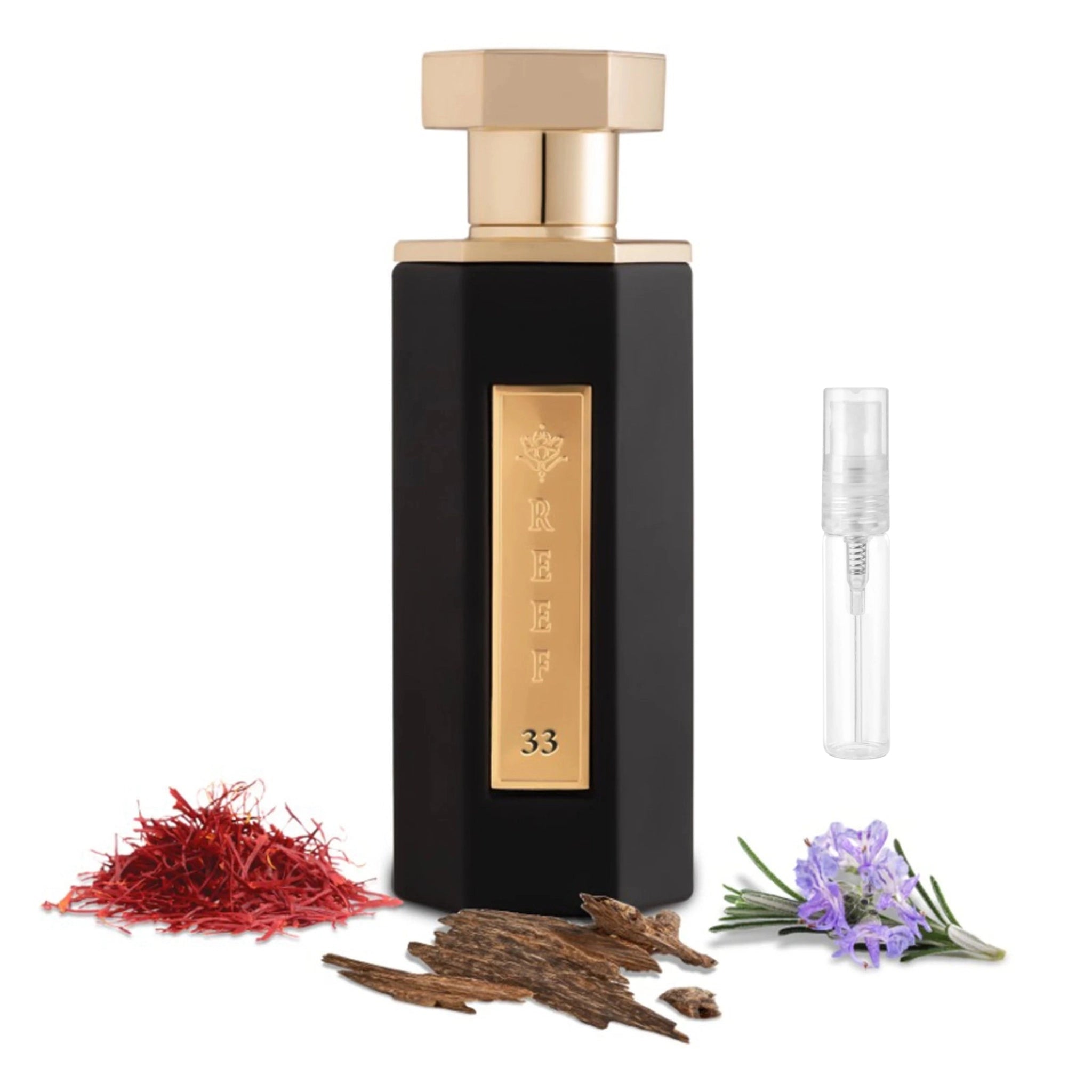 REEF 33 Eau De Parfum Sample - 2ml Travel Size Luxury Fragrance for Women & Men | Perfect for Gym, Office & Date Nights