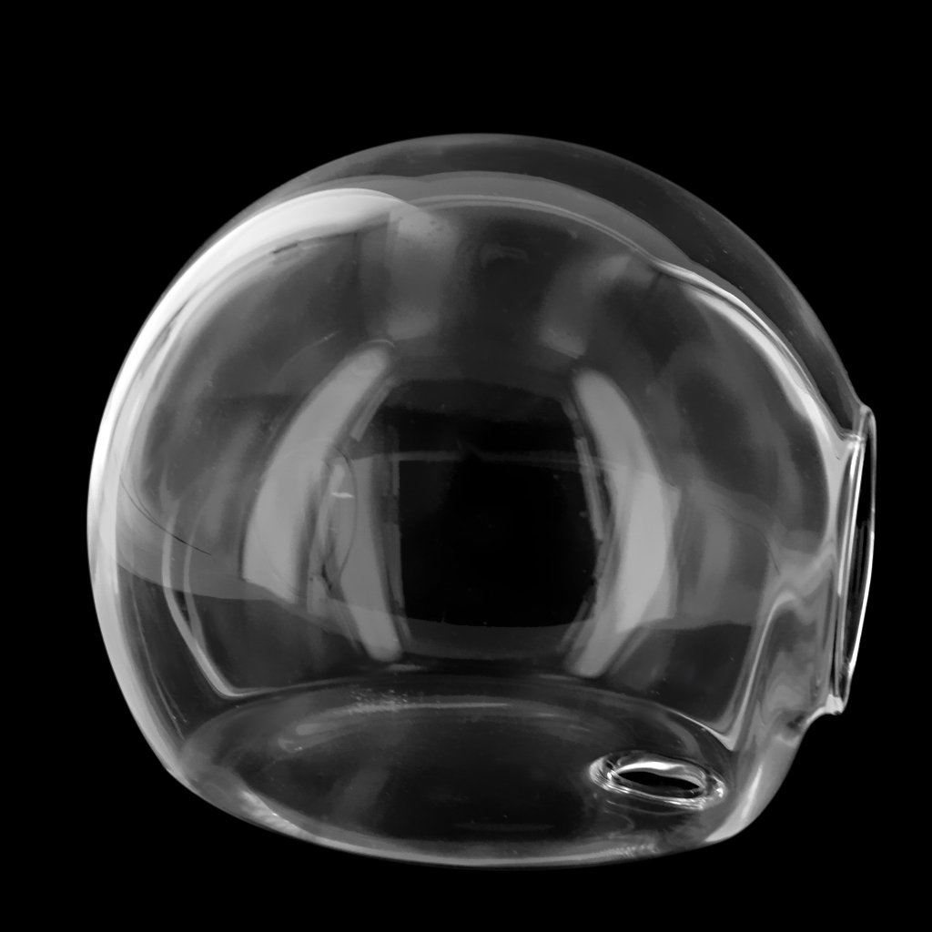 Clear Glass Hanging Wall Vase for Plants and Flowers - Modern Home & Garden Decor - Perfect for Succulents, Air Plants, and Floral Arrangements in Living Rooms, Kitchens, and Outdoor Spaces