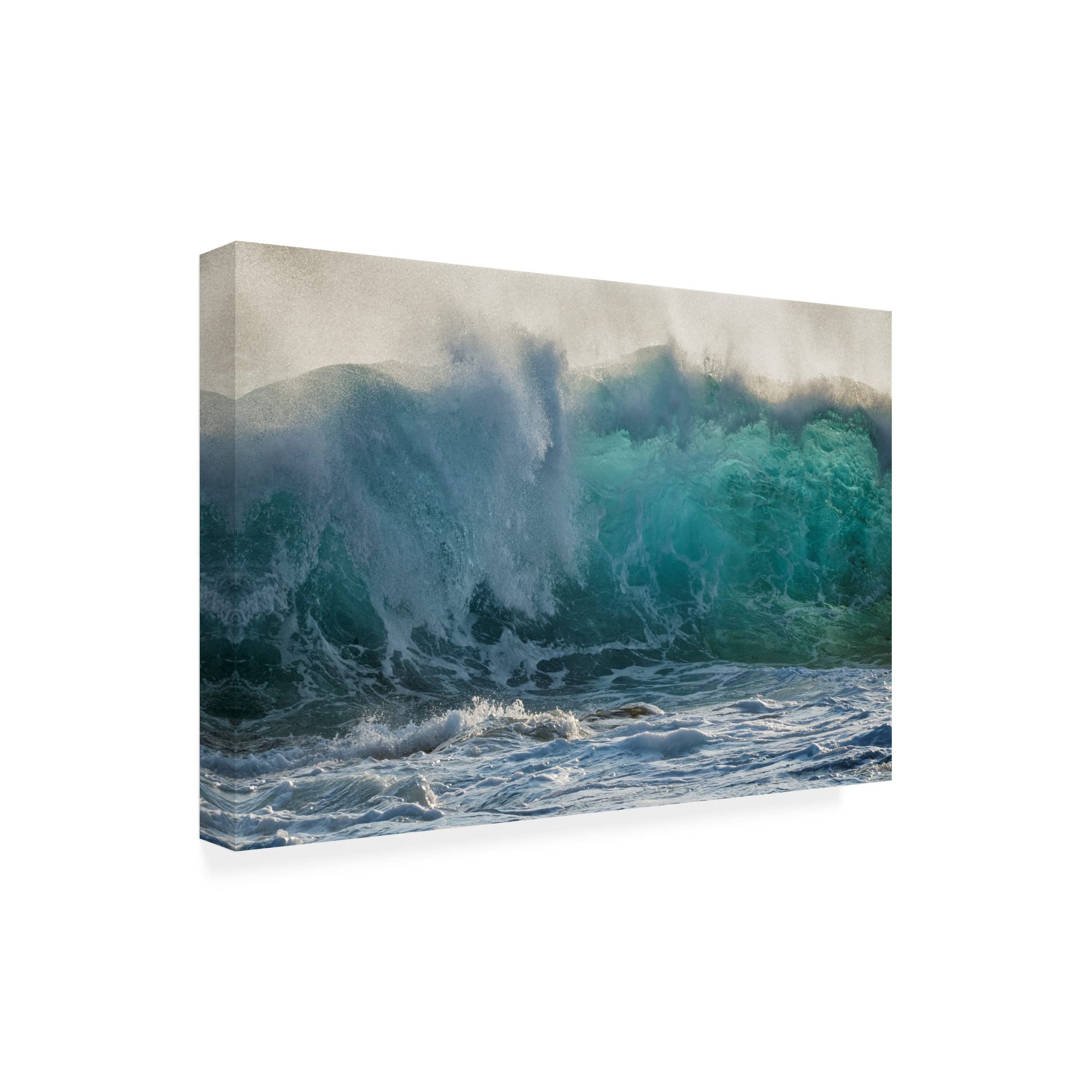 Dennis Frates 'Waves 6' Canvas Wall Art Print - Ocean Wave Painting for Beach House Decor, Living Room & Bedroom Wall Art