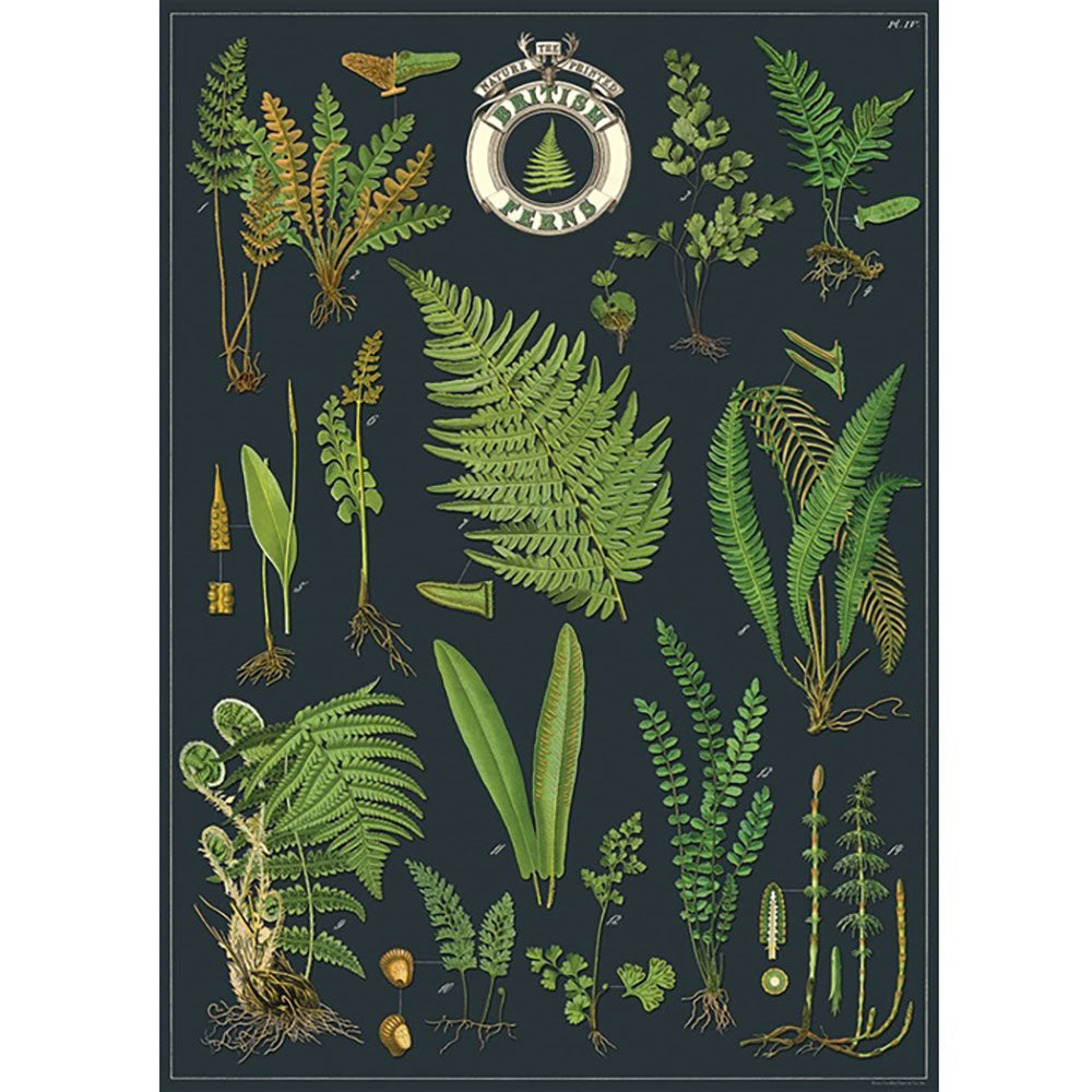British Ferns Wrap - Elegant Floral Scarf for Women - Perfect for Casual Outfits, Office Wear, and Special Occasions