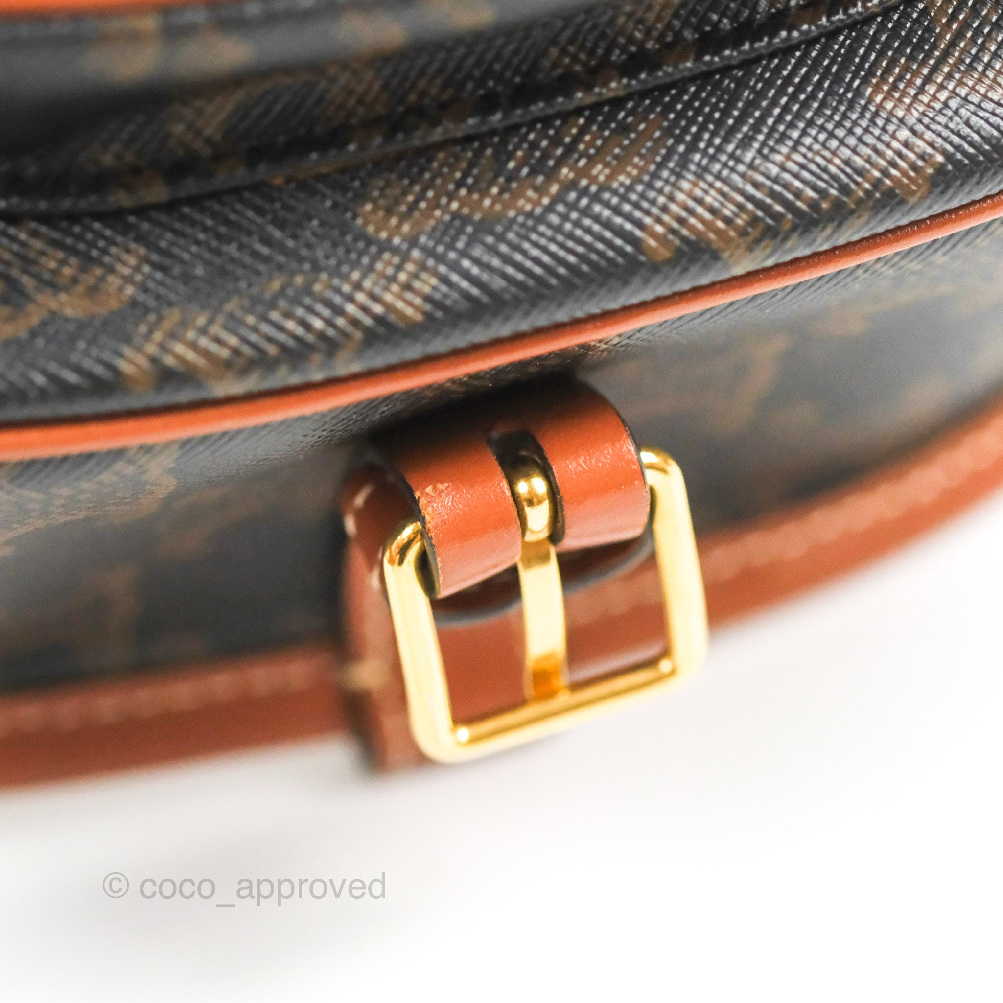 Celine Medium Triomphe Canvas Folco Bag in Tan - Luxury Crossbody Handbag for Women, Perfect for Work, Travel & Everyday Use