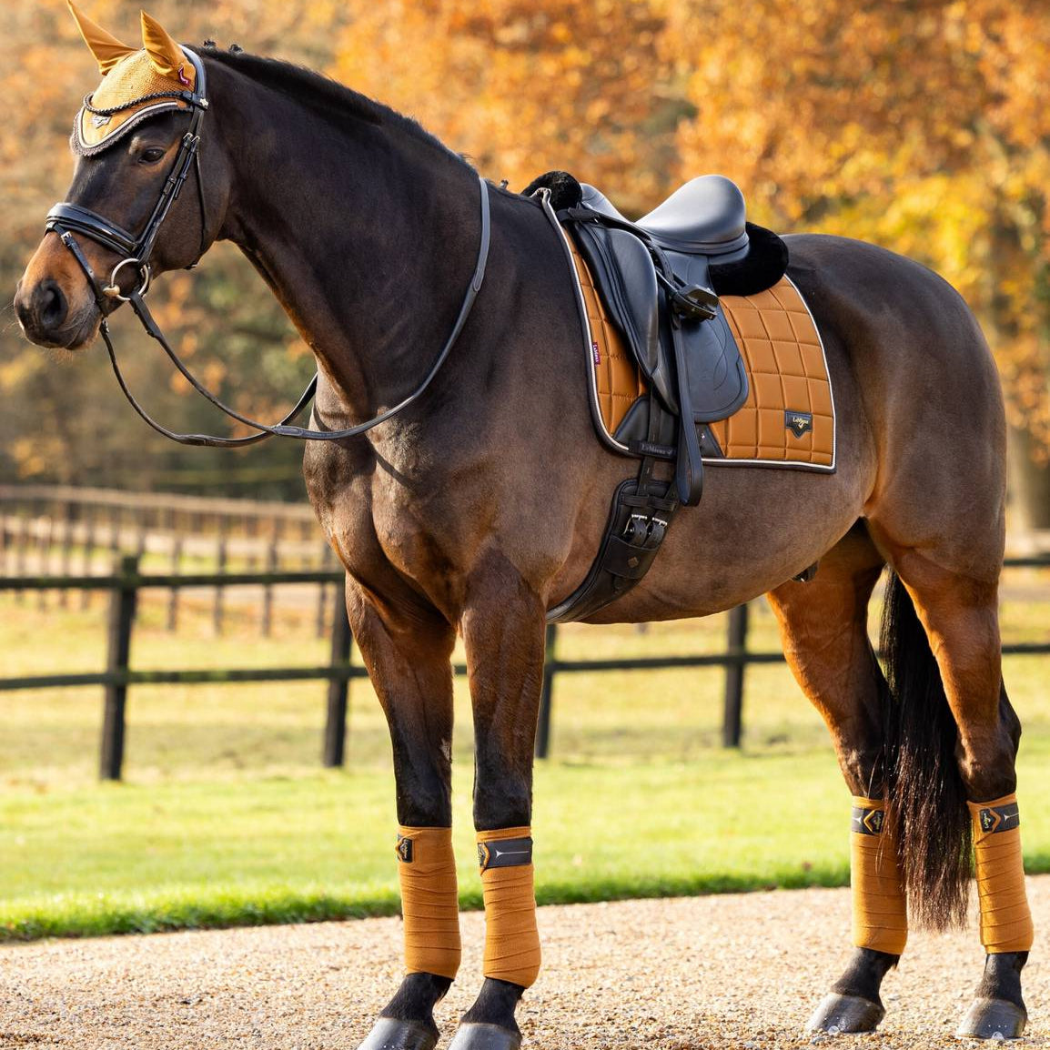 LeMieux Loire Classic Dressage Square Saddle Pad - Premium Equestrian Riding Pad for Dressage & Training - Perfect for Horse Shows & Riding Lessons