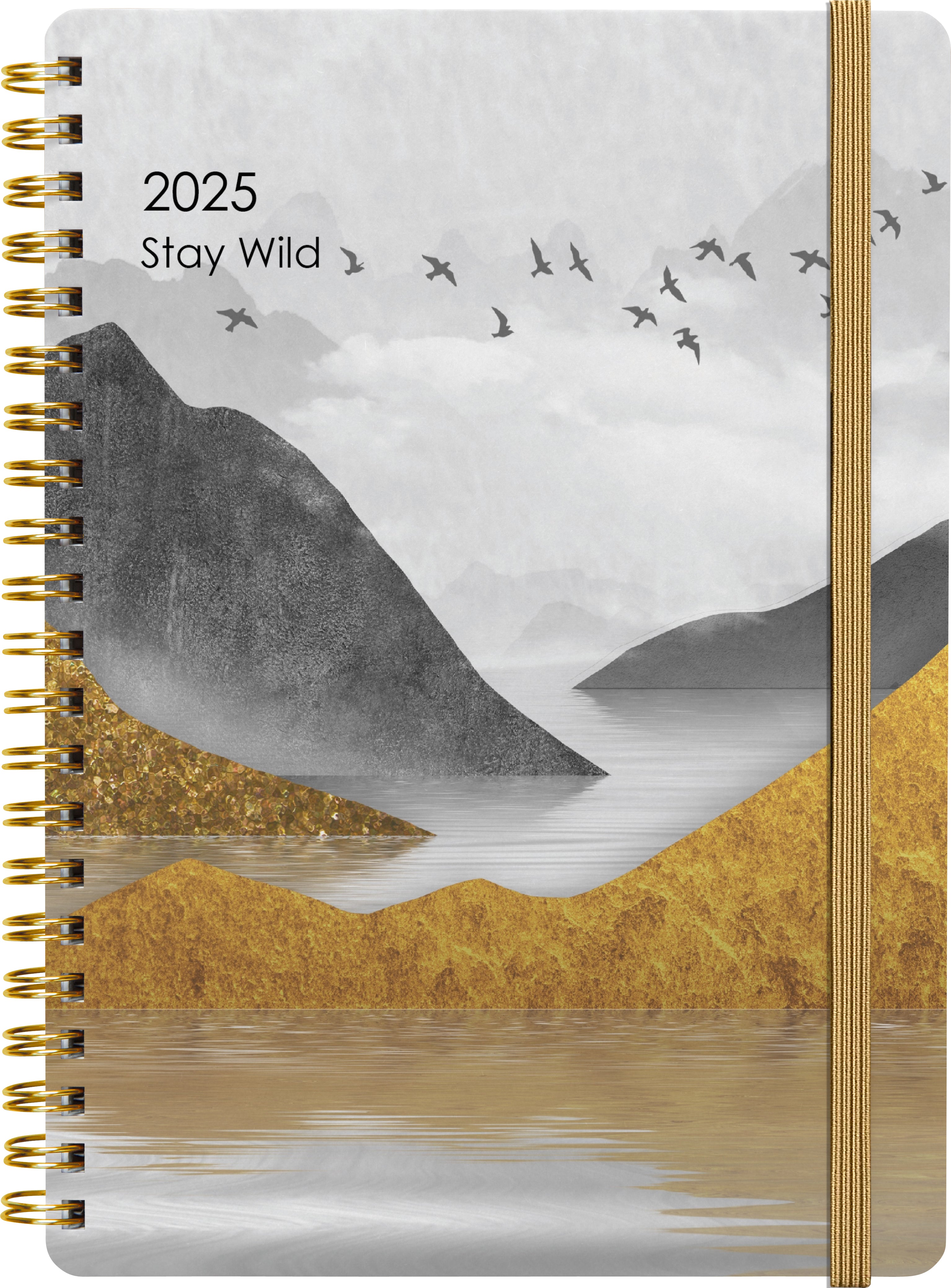2025 Collins Diary A51 - Day Per Page Planner with Contemporary Art Cover, 148mm x 210mm (5.8