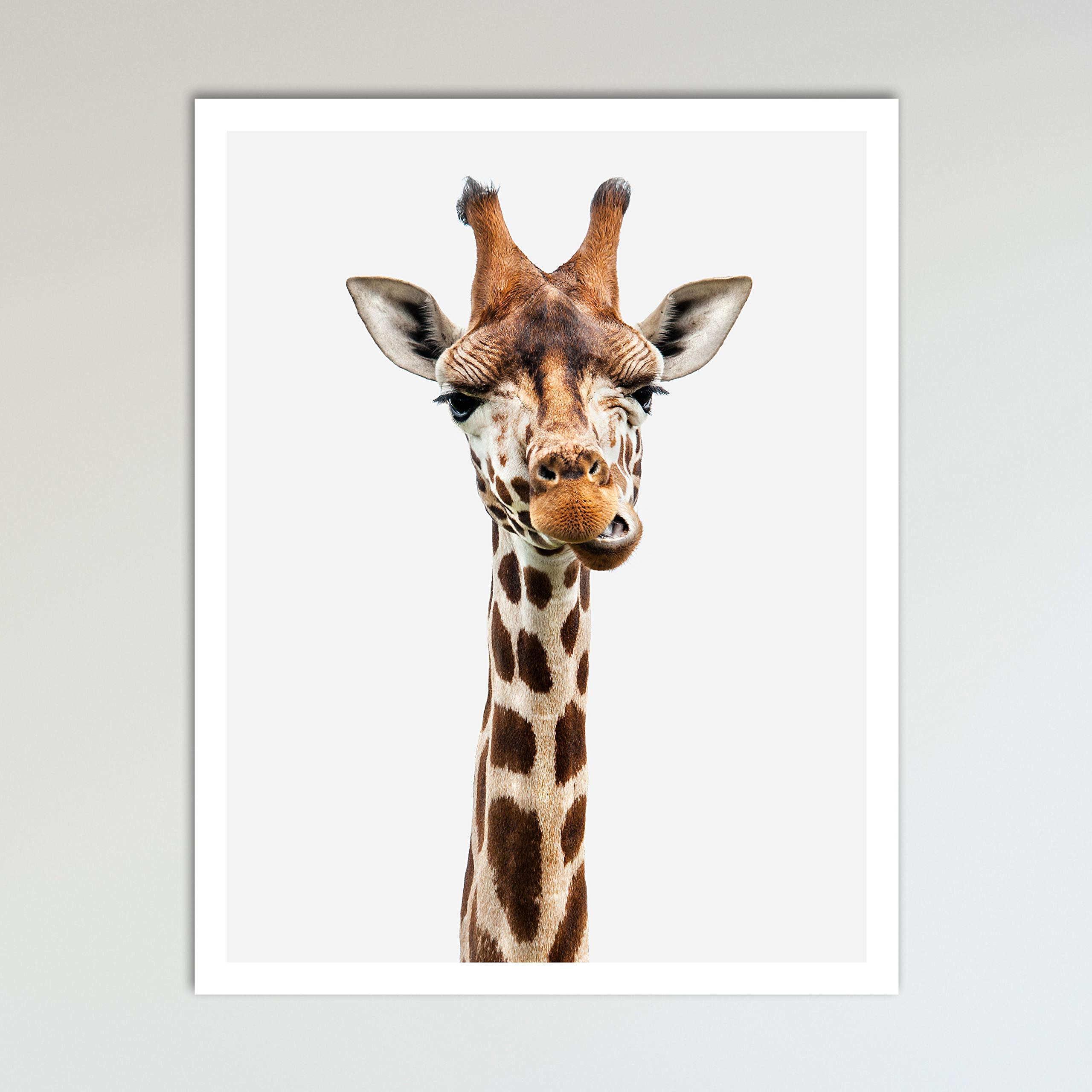 Colorful Giraffe Zoo Animal Nursery Print - Neutral Baby Shower Gift & Kids Bedroom Wall Decor - 11x14 Inches Unframed Wall Art - Perfect for Jungle Themed Nursery, Playroom or Classroom Decor