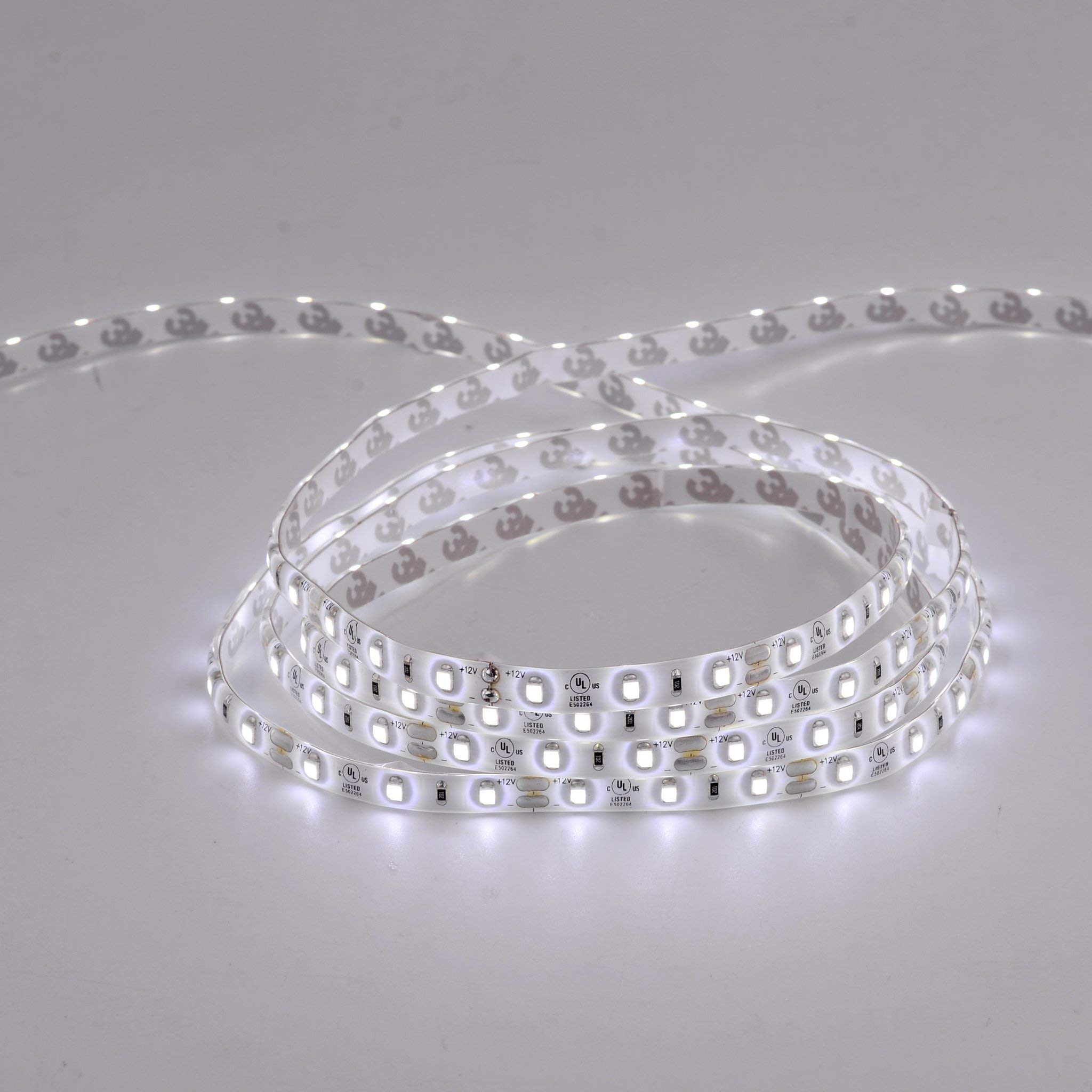 LEDMyplace Weatherproof Outdoor 12V LED Light Strip - 94 Lumens/ft, 6500K Crystal White - with Power Supply (KIT) - Perfect for Room Decor, Bedroom Lighting & Outdoor Accent Lighting