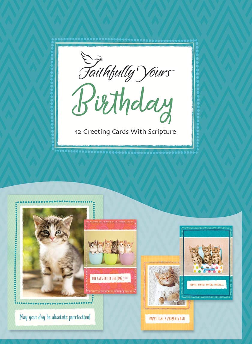 Curious Kittens Birthday Greeting Cards - Box of 12 Assorted Designs | Perfect for Birthday Wishes, Party Invitations & Special Occasions