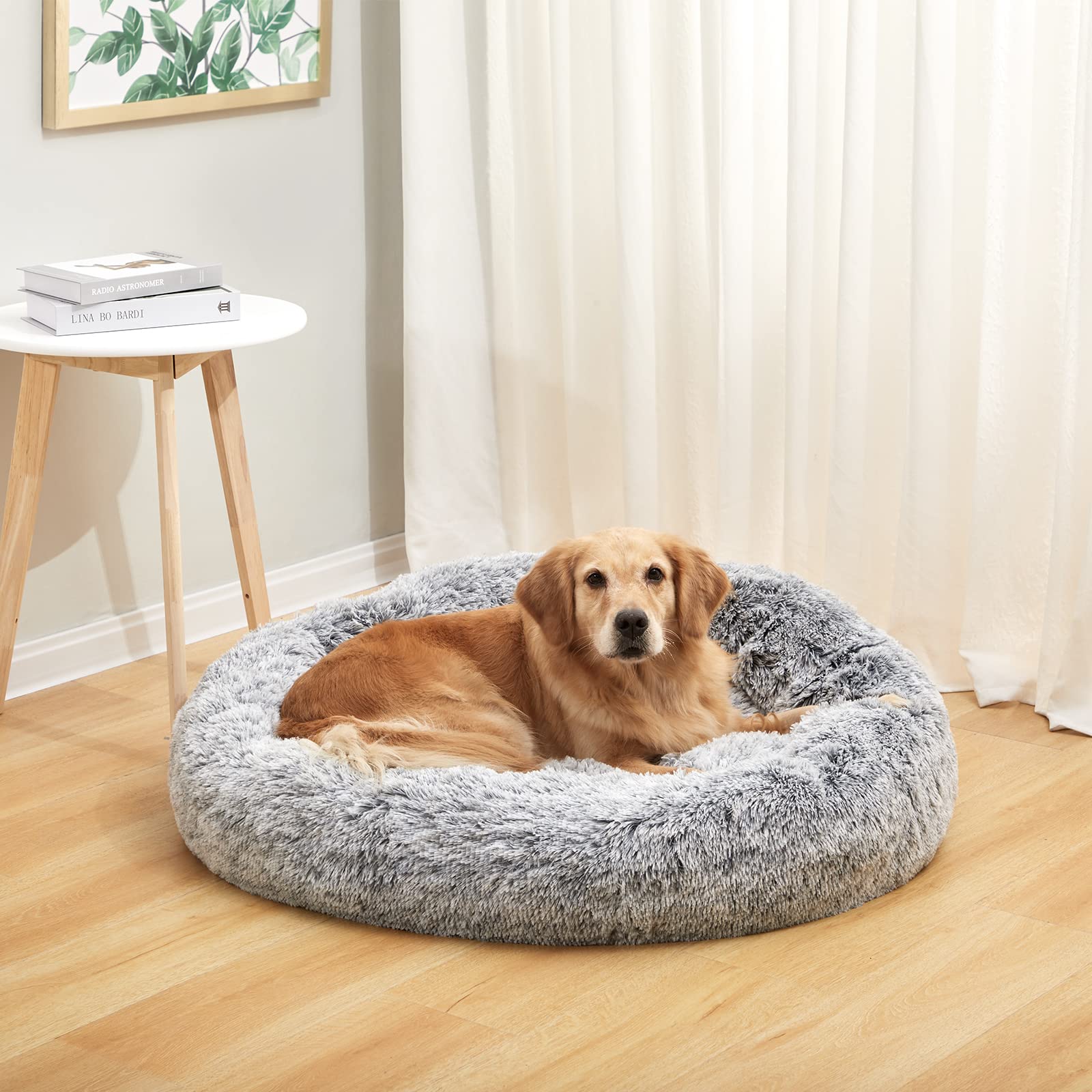 Bedfolks Calming Donut Dog Bed - 36 Inch Round Orthopedic Plush Pet Bed for Large Dogs, Anti-Anxiety Machine Washable Dog Bed (Dark Grey) - Perfect for Living Room, Bedroom & Pet Anxiety Relief